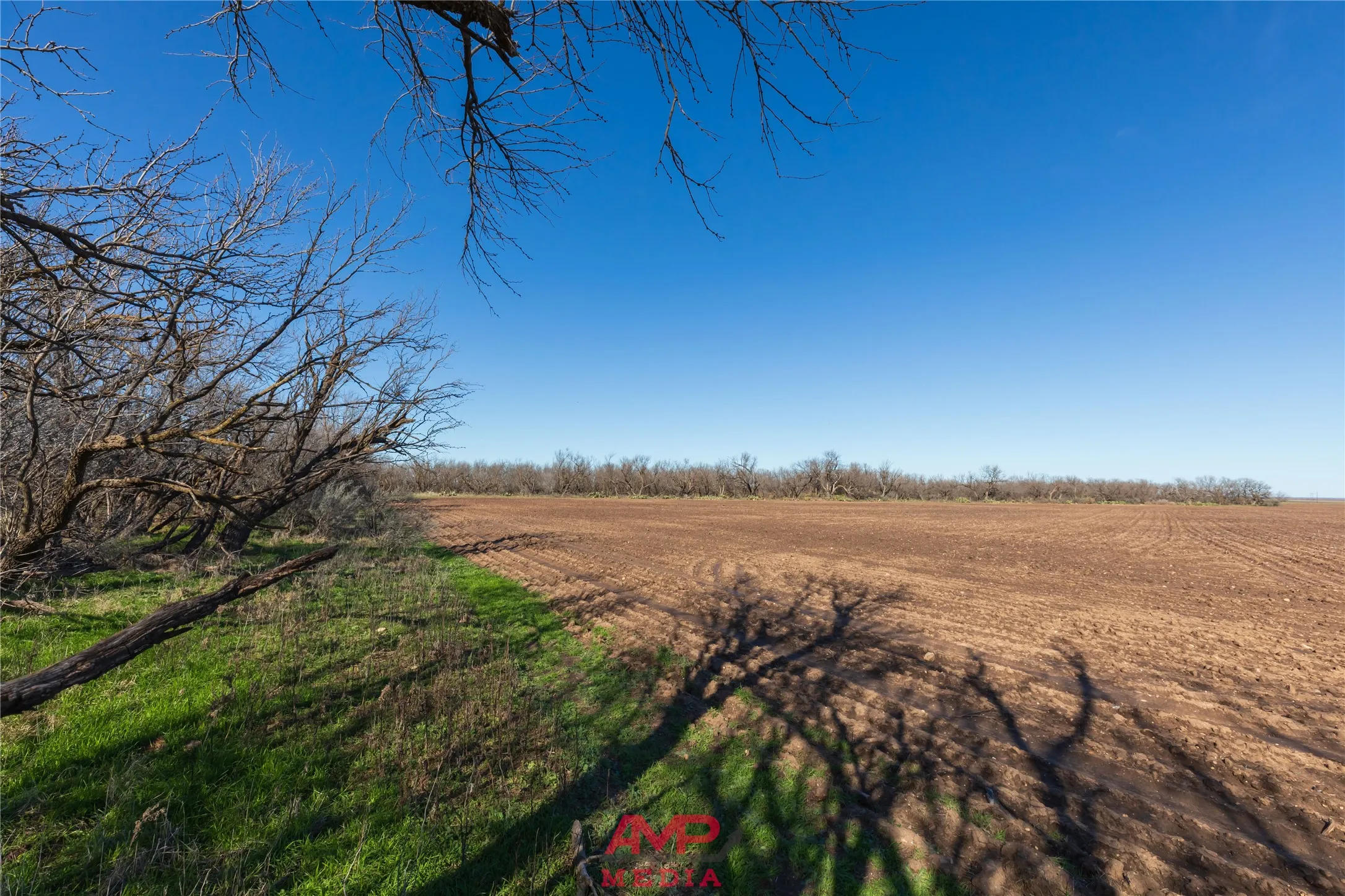 Ranch For Sale in Jones County , T B D County Road 260, Avoca, Texas 79503, 0, 0, Garage spaces, 0 Sqft, built in 0, Price $558,900, mls#21222690, Real Estate Agent in Avoca, Homes For Sale in Jones county, Homes For Sale in Avoca, Realtor in Avoca Texas, Real Estate Brokerage Independent Realty Texas, Luminita Cordes Realtor