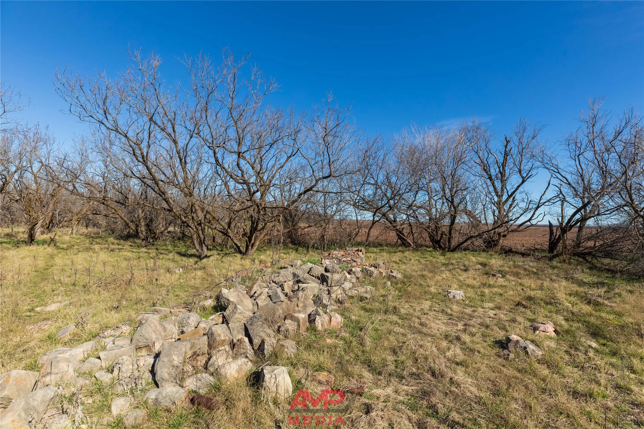 Ranch For Sale in Jones County , T B D County Road 260, Avoca, Texas 79503, 0, 0, Garage spaces, 0 Sqft, built in 0, Price $558,900, mls#21222690, Real Estate Agent in Avoca, Homes For Sale in Jones county, Homes For Sale in Avoca, Realtor in Avoca Texas, Real Estate Brokerage Independent Realty Texas, Luminita Cordes Realtor