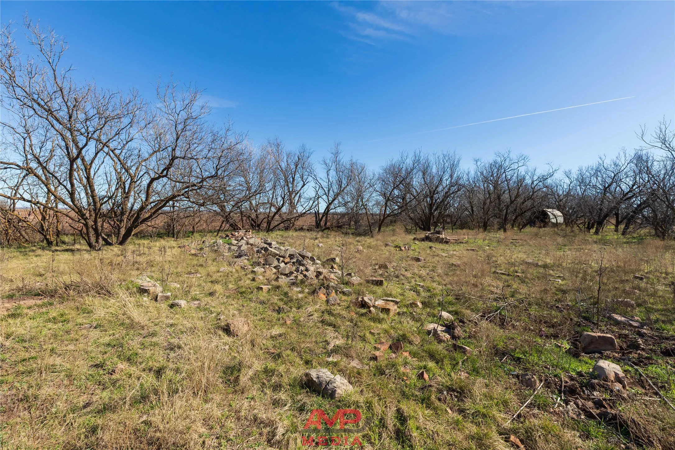 Ranch For Sale in Jones County , T B D County Road 260, Avoca, Texas 79503, 0, 0, Garage spaces, 0 Sqft, built in 0, Price $558,900, mls#21222690, Real Estate Agent in Avoca, Homes For Sale in Jones county, Homes For Sale in Avoca, Realtor in Avoca Texas, Real Estate Brokerage Independent Realty Texas, Luminita Cordes Realtor