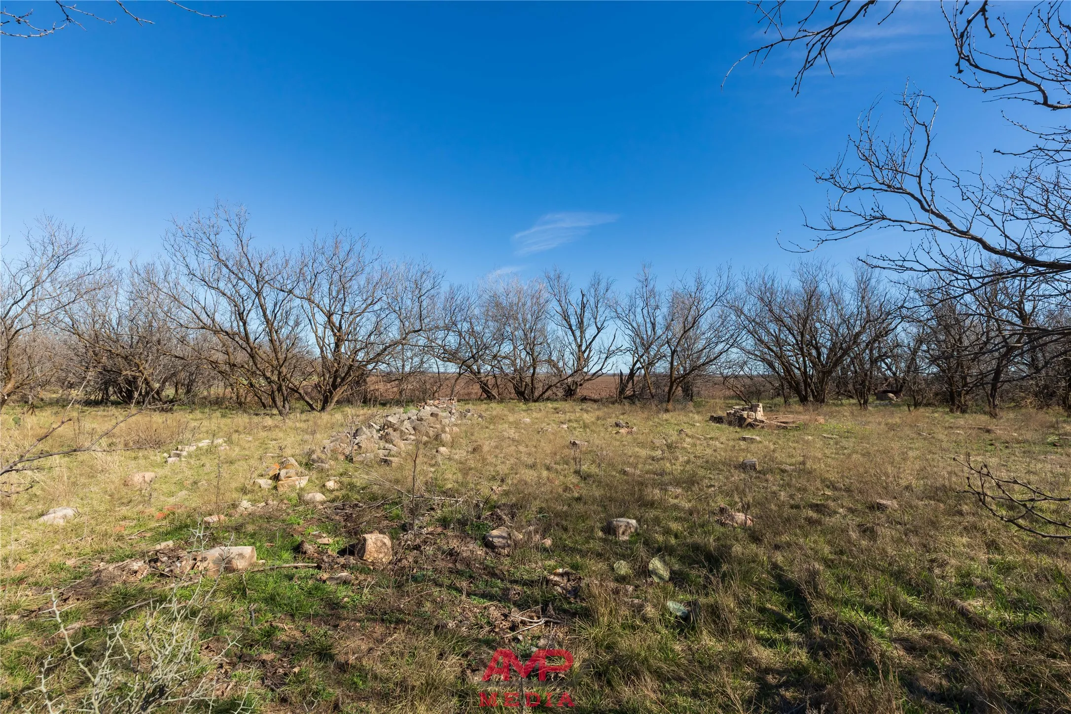 Ranch For Sale in Jones County , T B D County Road 260, Avoca, Texas 79503, 0, 0, Garage spaces, 0 Sqft, built in 0, Price $558,900, mls#21222690, Real Estate Agent in Avoca, Homes For Sale in Jones county, Homes For Sale in Avoca, Realtor in Avoca Texas, Real Estate Brokerage Independent Realty Texas, Luminita Cordes Realtor