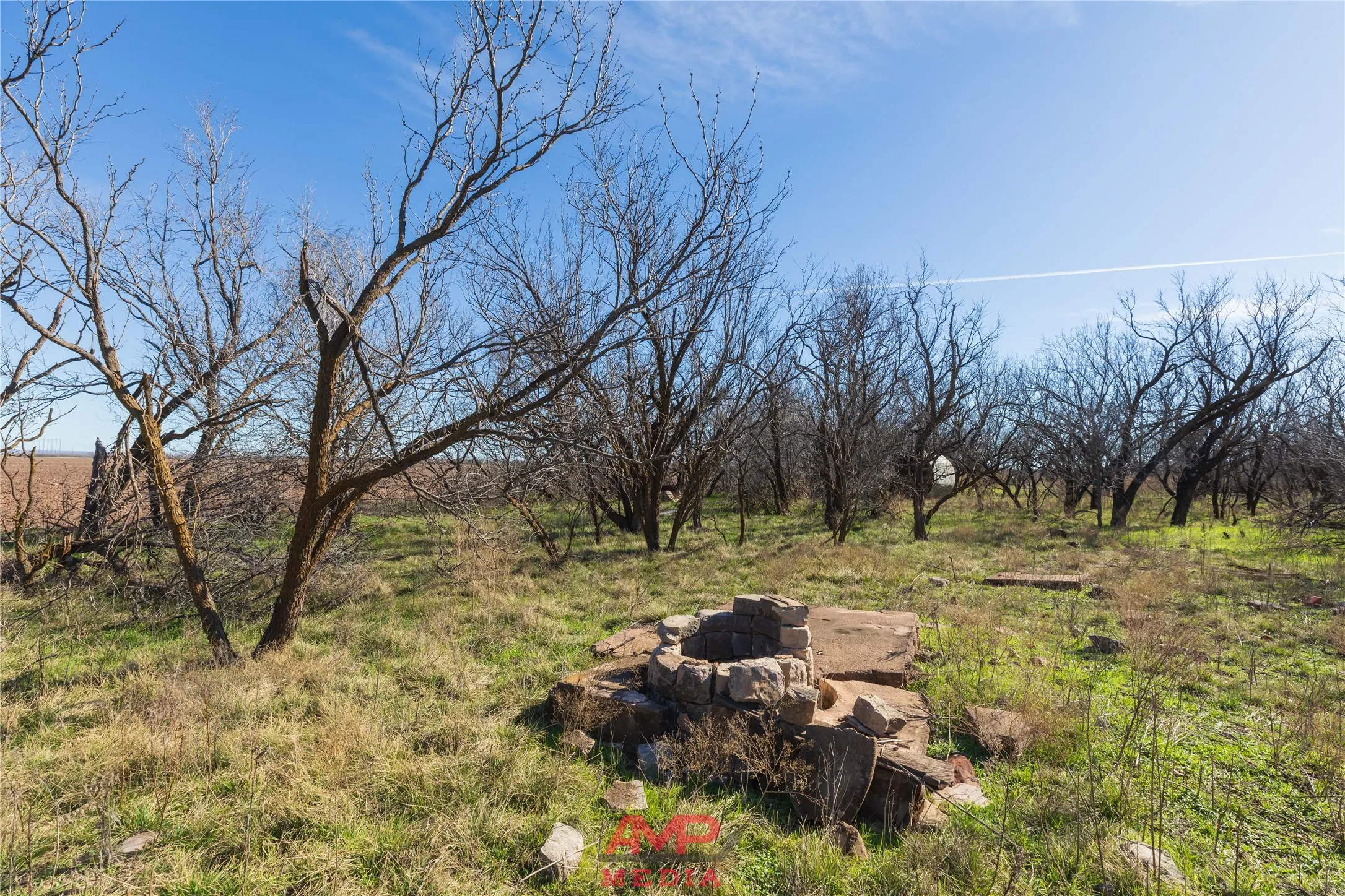 Ranch For Sale in Jones County , T B D County Road 260, Avoca, Texas 79503, 0, 0, Garage spaces, 0 Sqft, built in 0, Price $558,900, mls#21222690, Real Estate Agent in Avoca, Homes For Sale in Jones county, Homes For Sale in Avoca, Realtor in Avoca Texas, Real Estate Brokerage Independent Realty Texas, Luminita Cordes Realtor