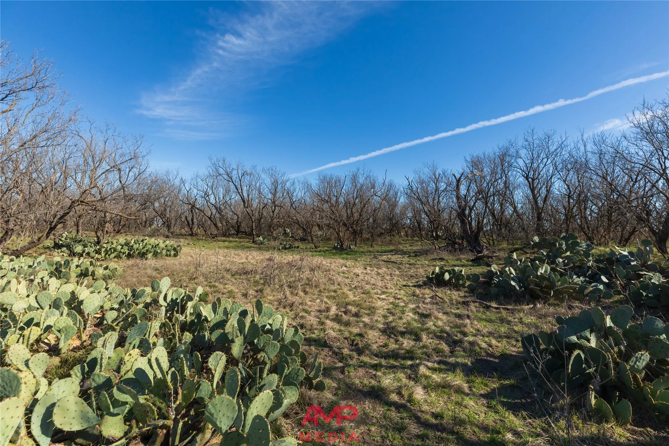 Ranch For Sale in Jones County , T B D County Road 260, Avoca, Texas 79503, 0, 0, Garage spaces, 0 Sqft, built in 0, Price $558,900, mls#21222690, Real Estate Agent in Avoca, Homes For Sale in Jones county, Homes For Sale in Avoca, Realtor in Avoca Texas, Real Estate Brokerage Independent Realty Texas, Luminita Cordes Realtor