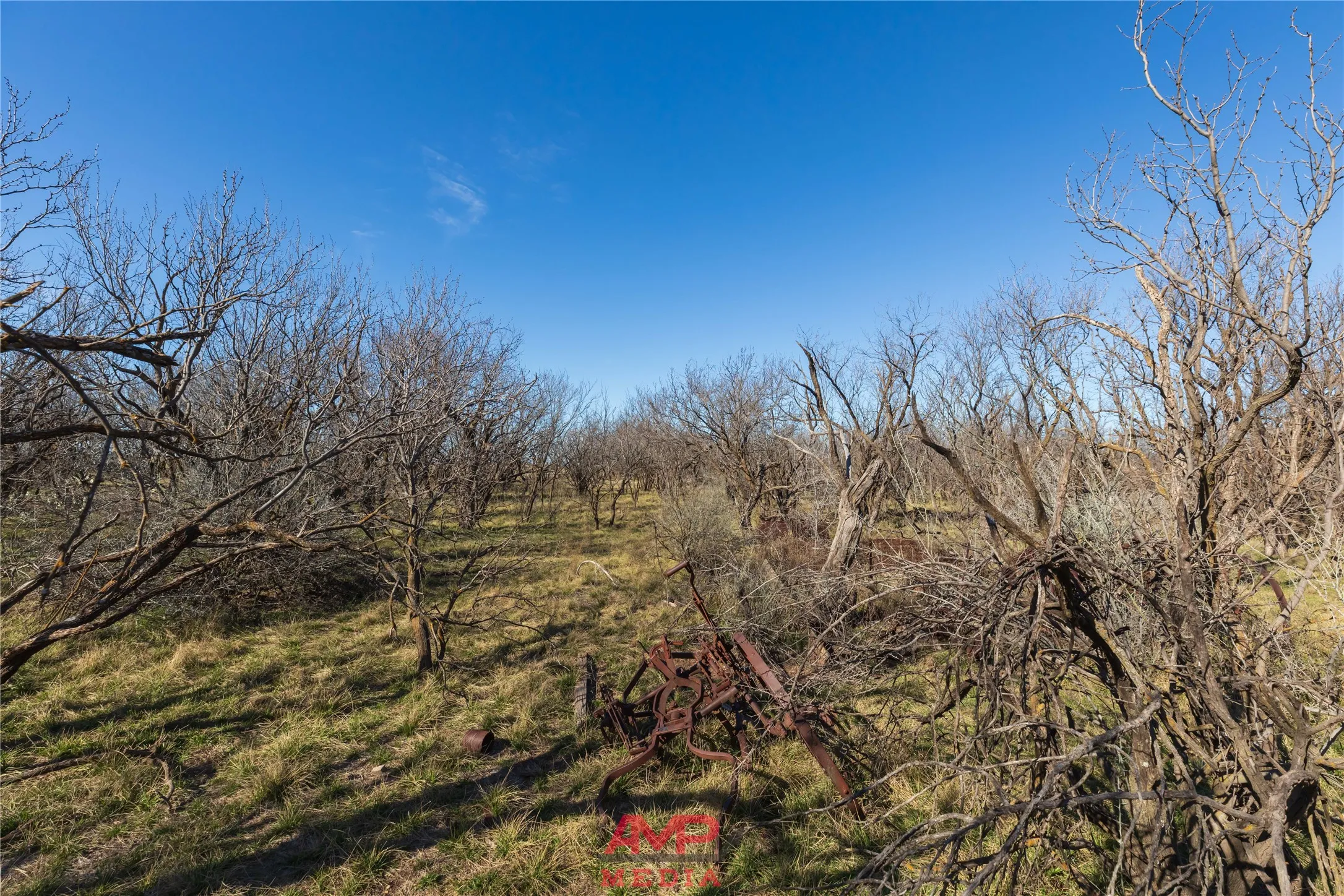 Ranch For Sale in Jones County , T B D County Road 260, Avoca, Texas 79503, 0, 0, Garage spaces, 0 Sqft, built in 0, Price $558,900, mls#21222690, Real Estate Agent in Avoca, Homes For Sale in Jones county, Homes For Sale in Avoca, Realtor in Avoca Texas, Real Estate Brokerage Independent Realty Texas, Luminita Cordes Realtor