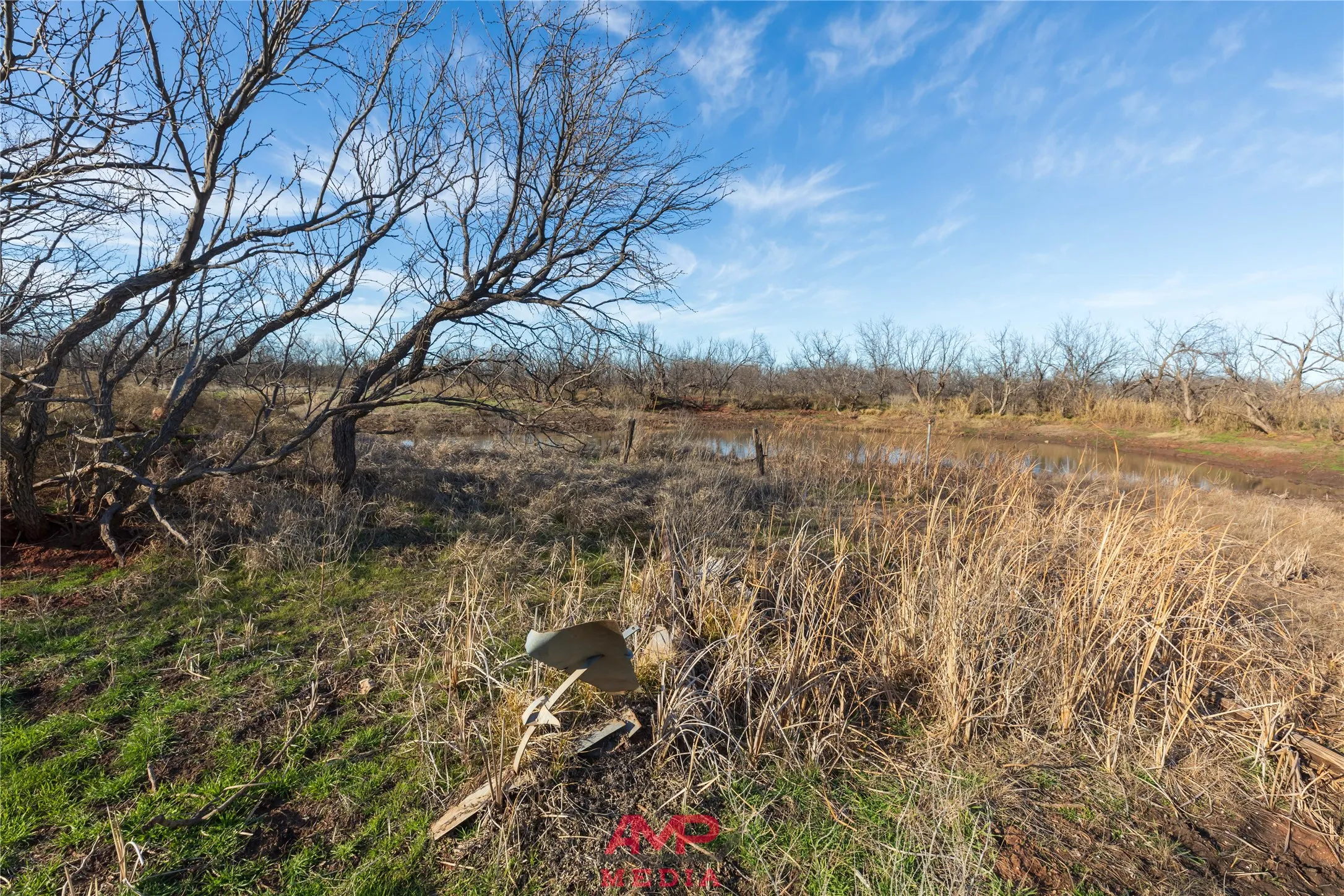 Ranch For Sale in Jones County , T B D County Road 260, Avoca, Texas 79503, 0, 0, Garage spaces, 0 Sqft, built in 0, Price $558,900, mls#21222690, Real Estate Agent in Avoca, Homes For Sale in Jones county, Homes For Sale in Avoca, Realtor in Avoca Texas, Real Estate Brokerage Independent Realty Texas, Luminita Cordes Realtor