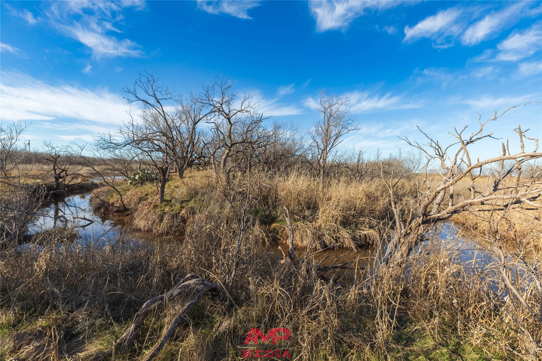 Ranch For Sale in Jones County , T B D County Road 260, Avoca, Texas 79503, 0, 0, Garage spaces, 0 Sqft, built in 0, Price $558,900, mls#21222690, Real Estate Agent in Avoca, Homes For Sale in Jones county, Homes For Sale in Avoca, Realtor in Avoca Texas, Real Estate Brokerage Independent Realty Texas, Luminita Cordes Realtor