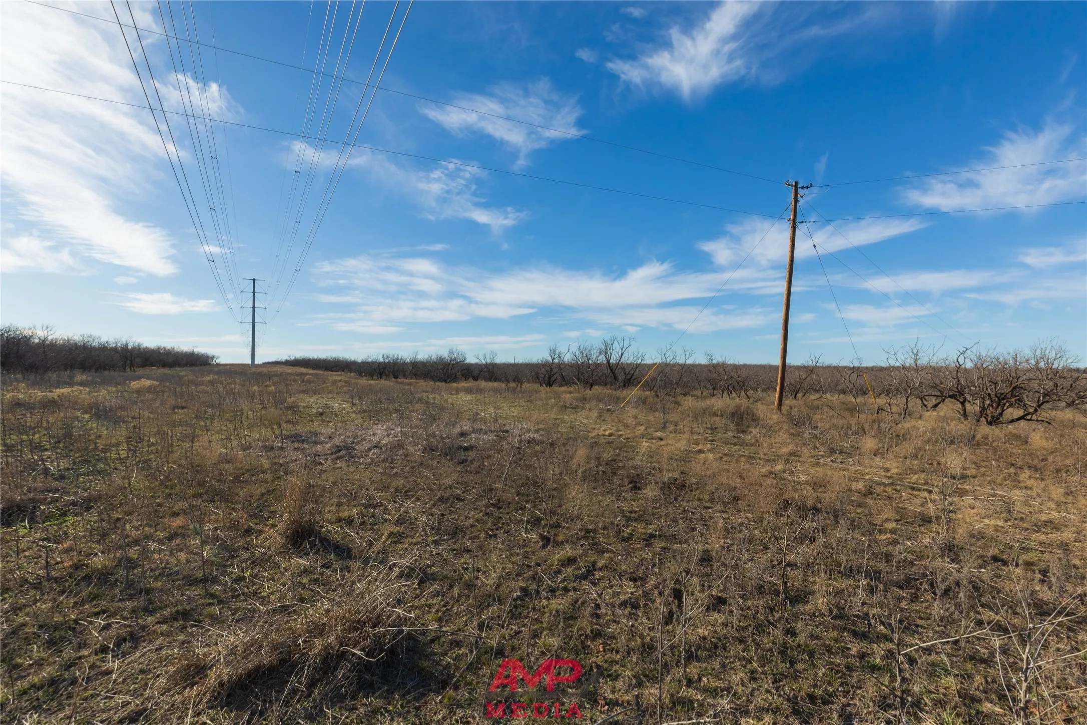 Ranch For Sale in Jones County , T B D County Road 260, Avoca, Texas 79503, 0, 0, Garage spaces, 0 Sqft, built in 0, Price $558,900, mls#21222690, Real Estate Agent in Avoca, Homes For Sale in Jones county, Homes For Sale in Avoca, Realtor in Avoca Texas, Real Estate Brokerage Independent Realty Texas, Luminita Cordes Realtor