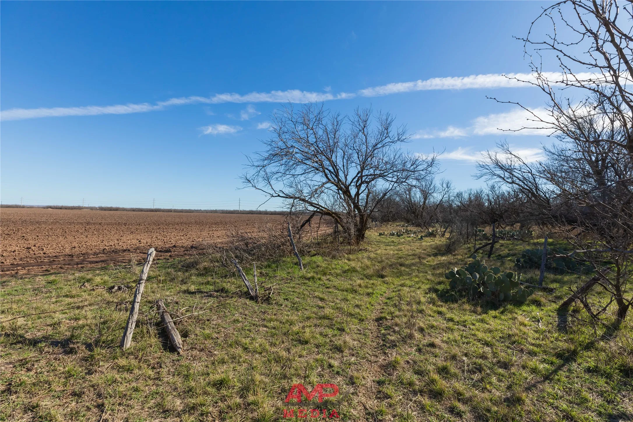 Ranch For Sale in Jones County , T B D County Road 260, Avoca, Texas 79503, 0, 0, Garage spaces, 0 Sqft, built in 0, Price $558,900, mls#21222690, Real Estate Agent in Avoca, Homes For Sale in Jones county, Homes For Sale in Avoca, Realtor in Avoca Texas, Real Estate Brokerage Independent Realty Texas, Luminita Cordes Realtor