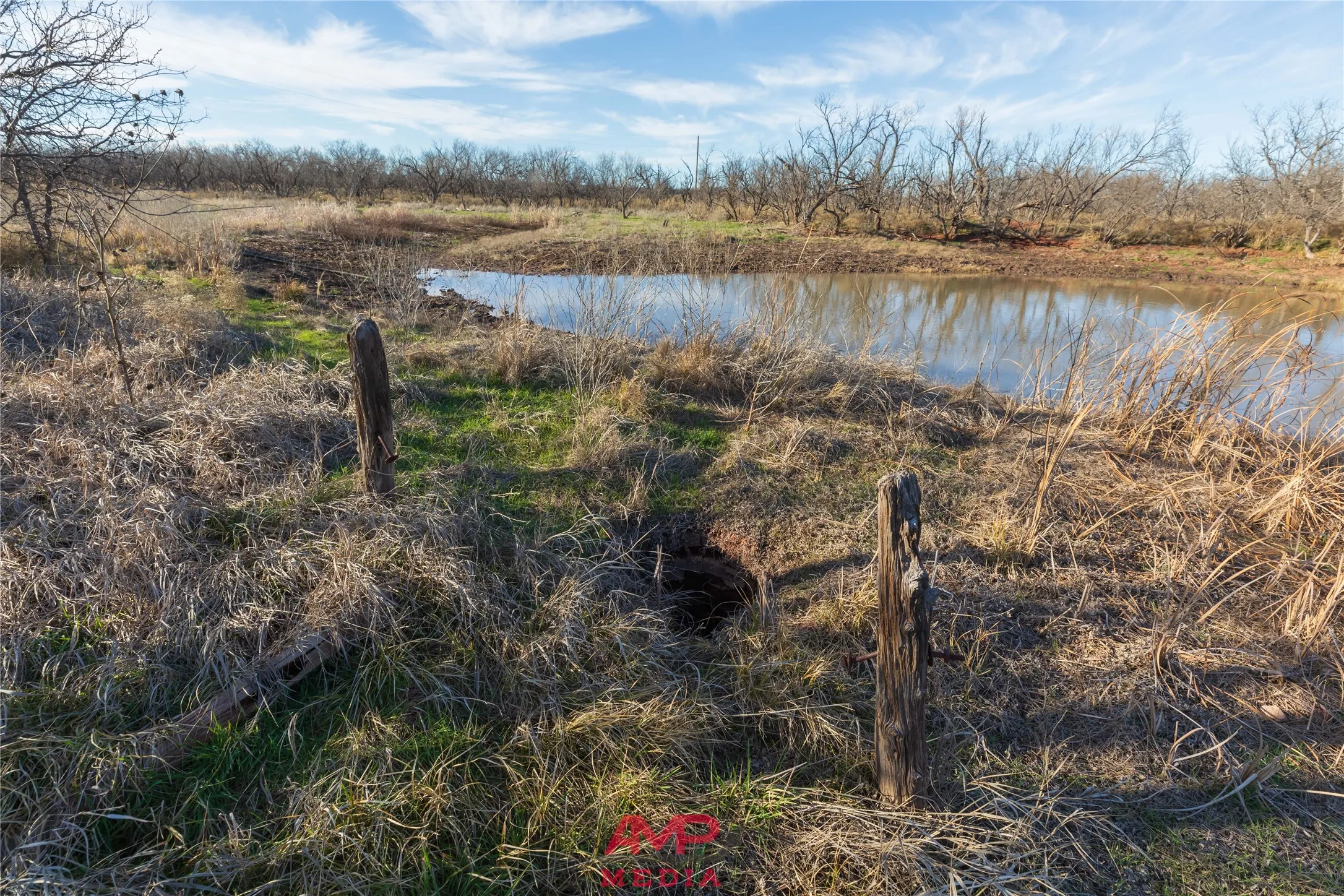 Ranch For Sale in Jones County , T B D County Road 260, Avoca, Texas 79503, 0, 0, Garage spaces, 0 Sqft, built in 0, Price $558,900, mls#21222690, Real Estate Agent in Avoca, Homes For Sale in Jones county, Homes For Sale in Avoca, Realtor in Avoca Texas, Real Estate Brokerage Independent Realty Texas, Luminita Cordes Realtor