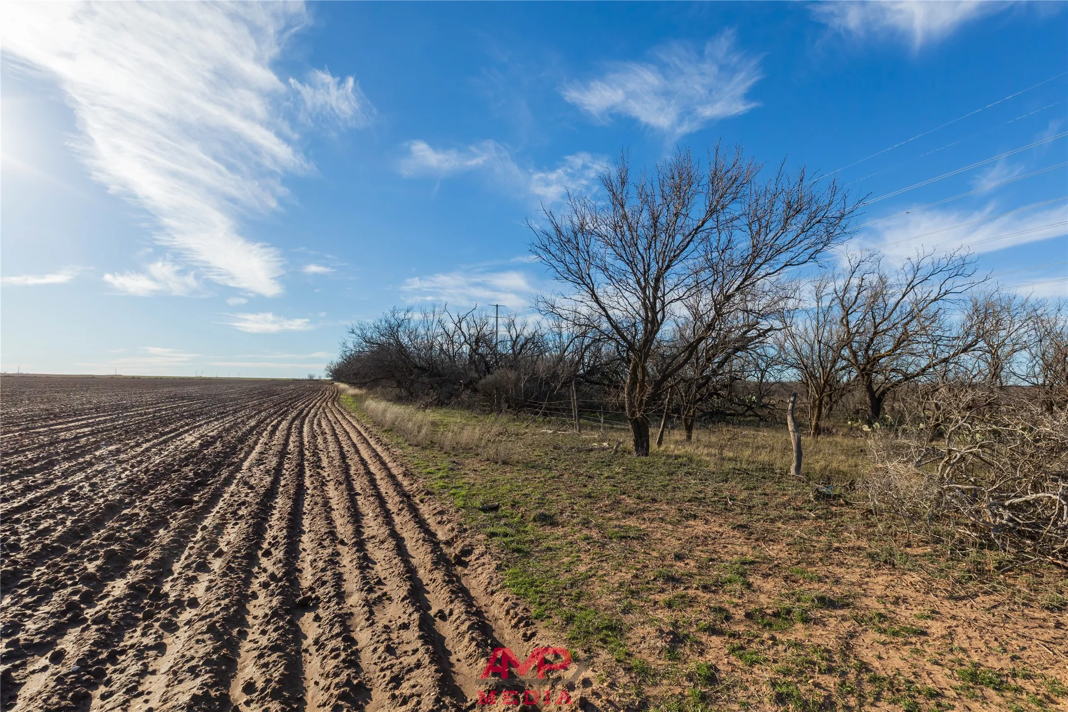 Ranch For Sale in Jones County , T B D County Road 260, Avoca, Texas 79503, 0, 0, Garage spaces, 0 Sqft, built in 0, Price $558,900, mls#21222690, Real Estate Agent in Avoca, Homes For Sale in Jones county, Homes For Sale in Avoca, Realtor in Avoca Texas, Real Estate Brokerage Independent Realty Texas, Luminita Cordes Realtor