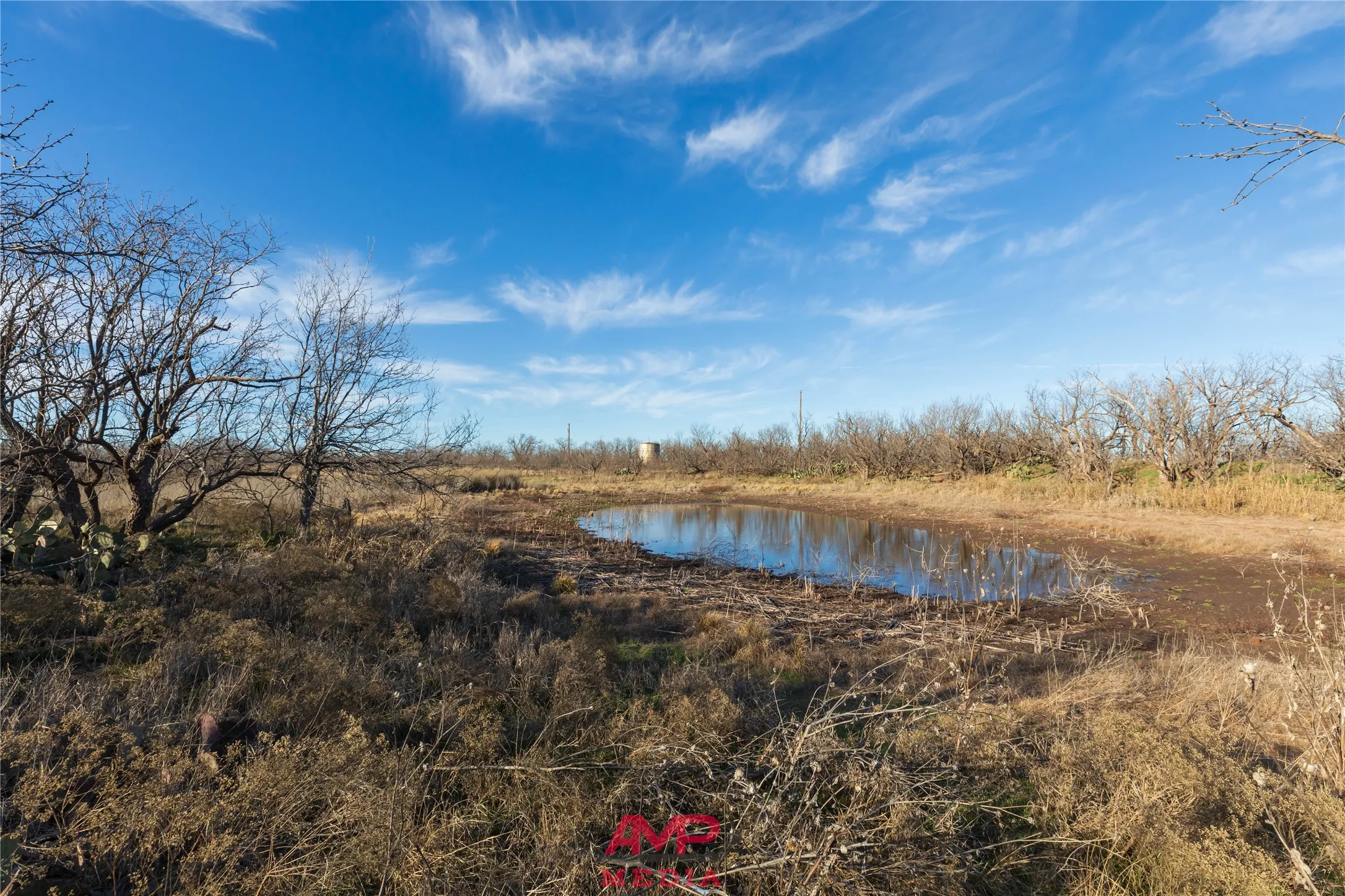 Ranch For Sale in Jones County , T B D County Road 260, Avoca, Texas 79503, 0, 0, Garage spaces, 0 Sqft, built in 0, Price $558,900, mls#21222690, Real Estate Agent in Avoca, Homes For Sale in Jones county, Homes For Sale in Avoca, Realtor in Avoca Texas, Real Estate Brokerage Independent Realty Texas, Luminita Cordes Realtor