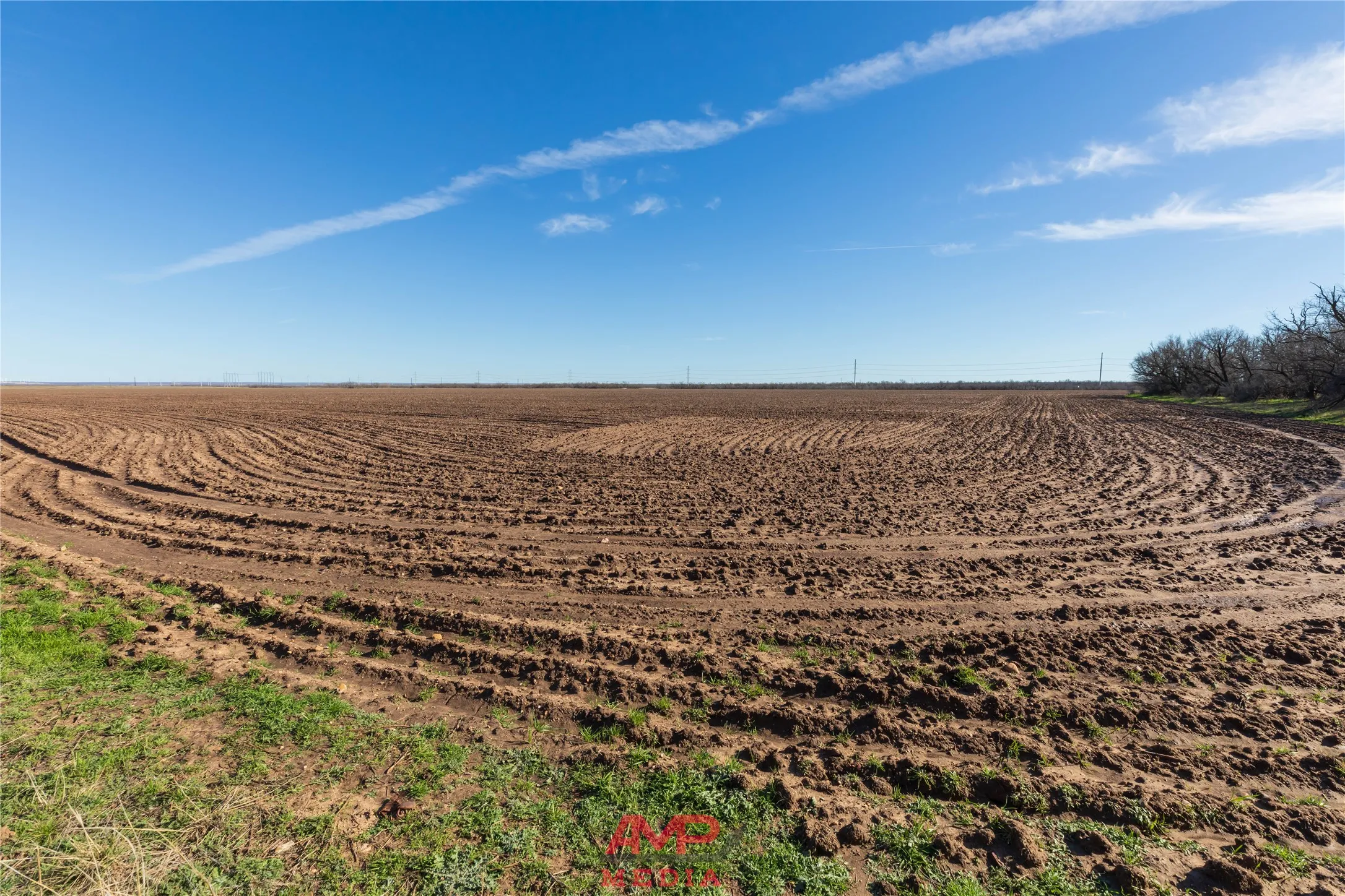 Ranch For Sale in Jones County , T B D County Road 260, Avoca, Texas 79503, 0, 0, Garage spaces, 0 Sqft, built in 0, Price $558,900, mls#21222690, Real Estate Agent in Avoca, Homes For Sale in Jones county, Homes For Sale in Avoca, Realtor in Avoca Texas, Real Estate Brokerage Independent Realty Texas, Luminita Cordes Realtor