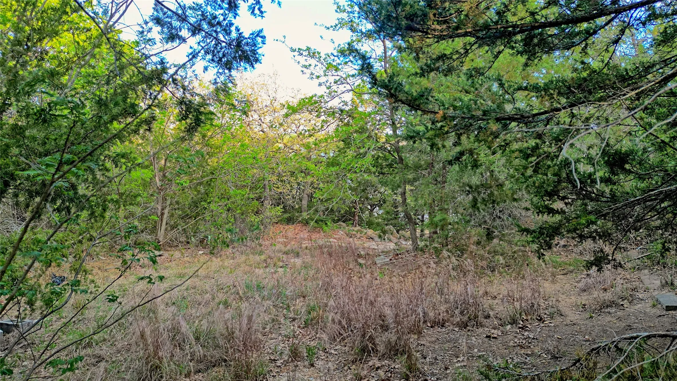 Unimproved Land For Sale in Montague County , TBD Storey Road, Nocona, Texas 76255, 0, 0, Garage spaces, 0 Sqft, built in 0, mls#21219410, Real Estate Agent in Nocona, Homes For Sale in Montague county, Homes For Sale in Nocona, Realtor in Nocona Texas, Real Estate Brokerage Independent Realty Texas, Luminita Cordes Realtor
