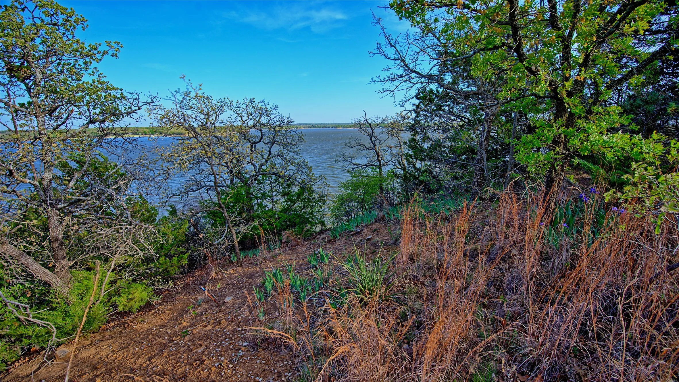 Unimproved Land For Sale in Montague County , TBD Storey Road, Nocona, Texas 76255, 0, 0, Garage spaces, 0 Sqft, built in 0, mls#21219410, Real Estate Agent in Nocona, Homes For Sale in Montague county, Homes For Sale in Nocona, Realtor in Nocona Texas, Real Estate Brokerage Independent Realty Texas, Luminita Cordes Realtor