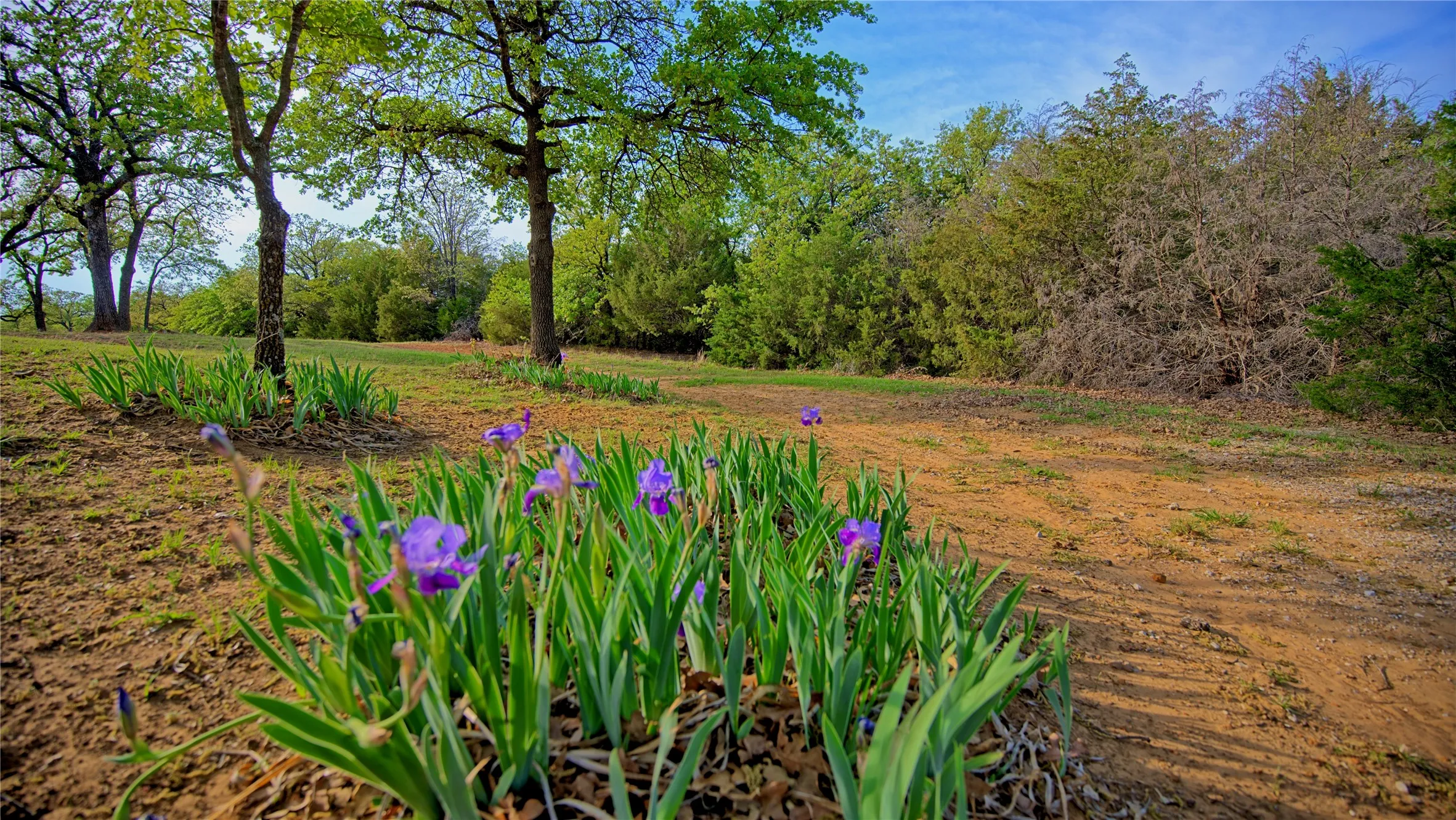 Unimproved Land For Sale in Montague County , TBD Storey Road, Nocona, Texas 76255, 0, 0, Garage spaces, 0 Sqft, built in 0, mls#21219410, Real Estate Agent in Nocona, Homes For Sale in Montague county, Homes For Sale in Nocona, Realtor in Nocona Texas, Real Estate Brokerage Independent Realty Texas, Luminita Cordes Realtor