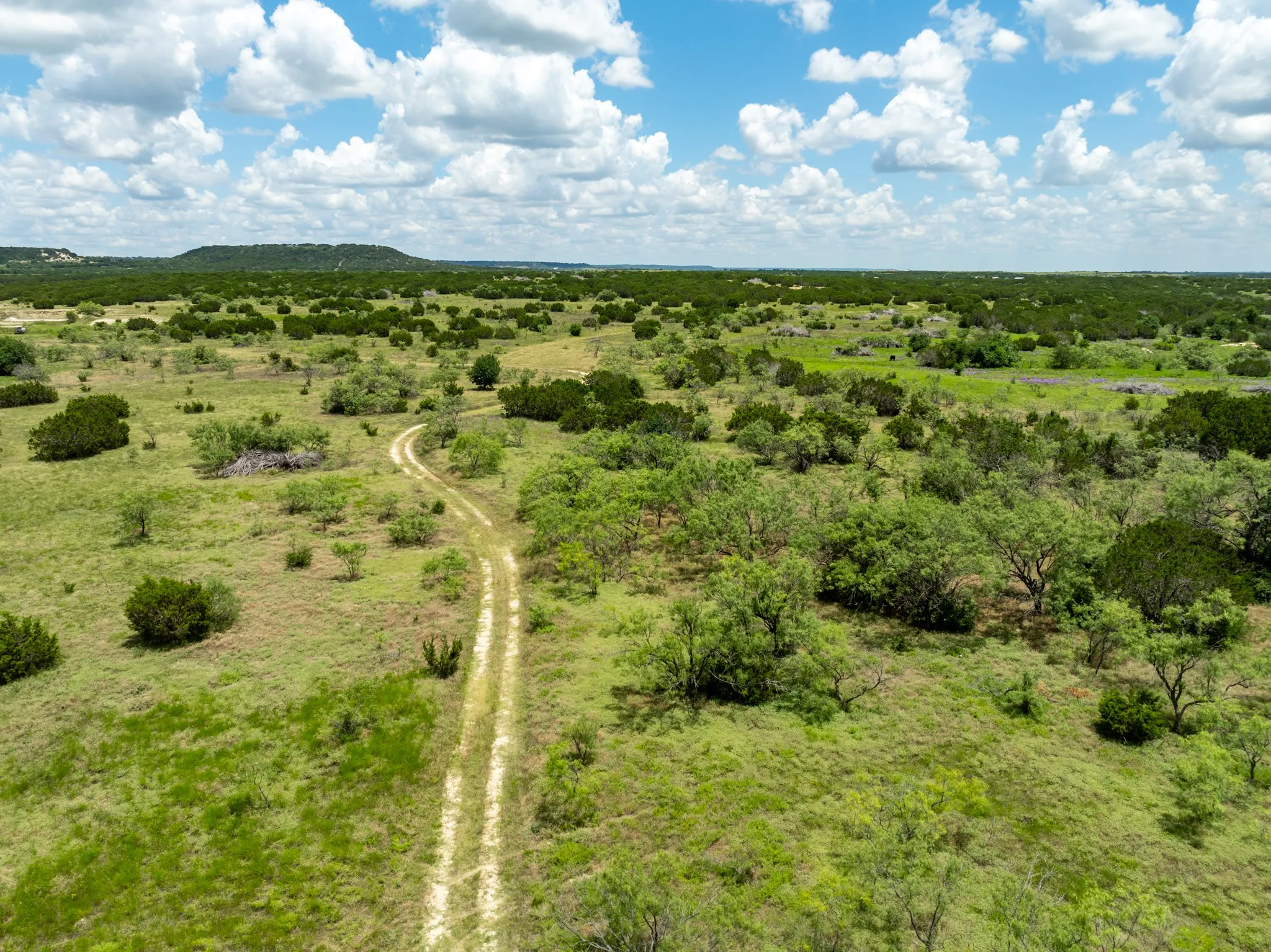Ranch For Sale in Hamilton County , 11439 Fm 1602 A, Jonesboro, Texas 76538, 0, 0, Garage spaces, 0 Sqft, built in 0, mls#21222809, Real Estate Agent in Jonesboro, Homes For Sale in Hamilton county, Homes For Sale in Jonesboro, Realtor in Jonesboro Texas, Real Estate Brokerage Independent Realty Texas, Luminita Cordes Realtor