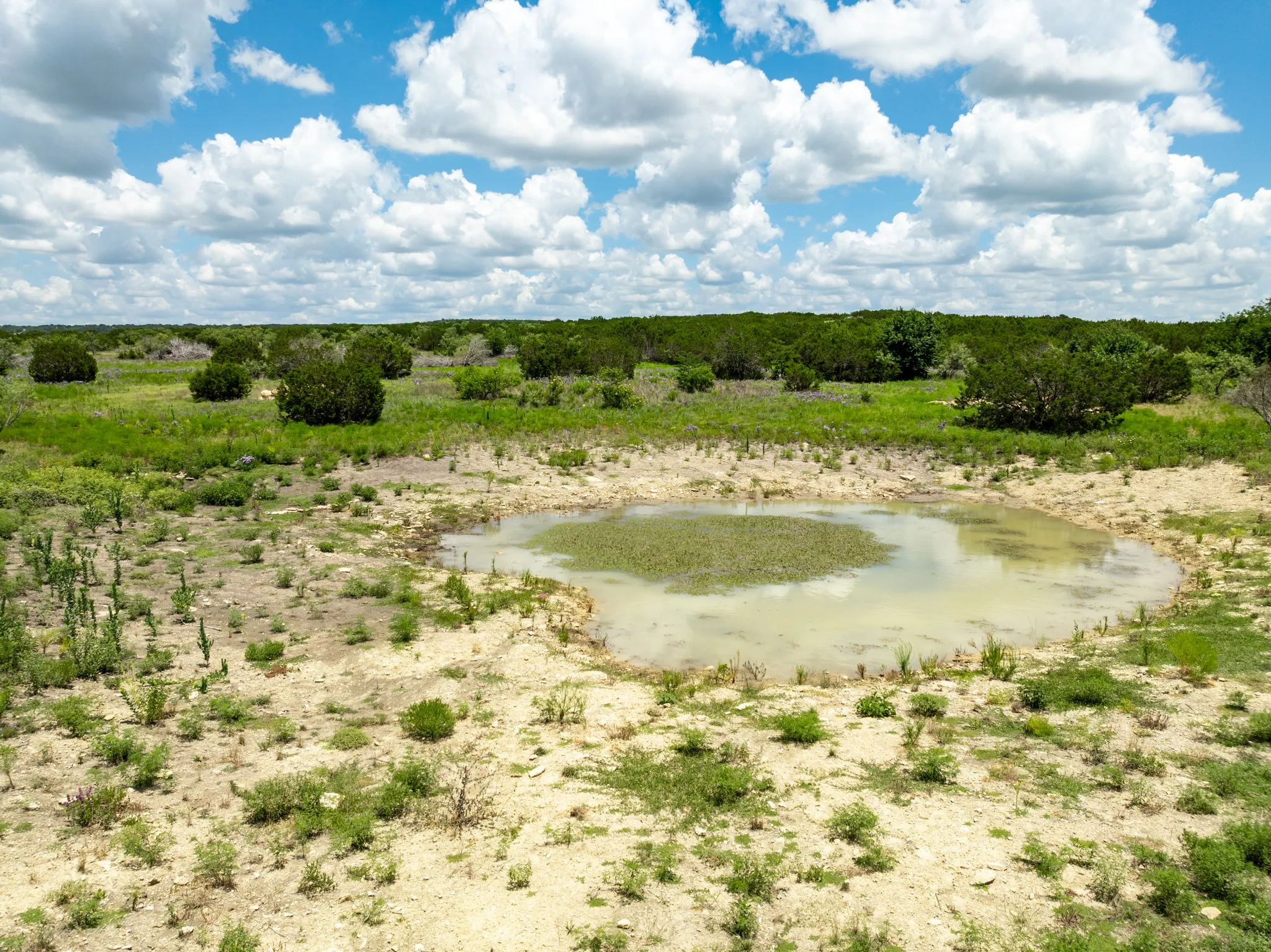 Ranch For Sale in Hamilton County , 11439 Fm 1602 A, Jonesboro, Texas 76538, 0, 0, Garage spaces, 0 Sqft, built in 0, mls#21222809, Real Estate Agent in Jonesboro, Homes For Sale in Hamilton county, Homes For Sale in Jonesboro, Realtor in Jonesboro Texas, Real Estate Brokerage Independent Realty Texas, Luminita Cordes Realtor