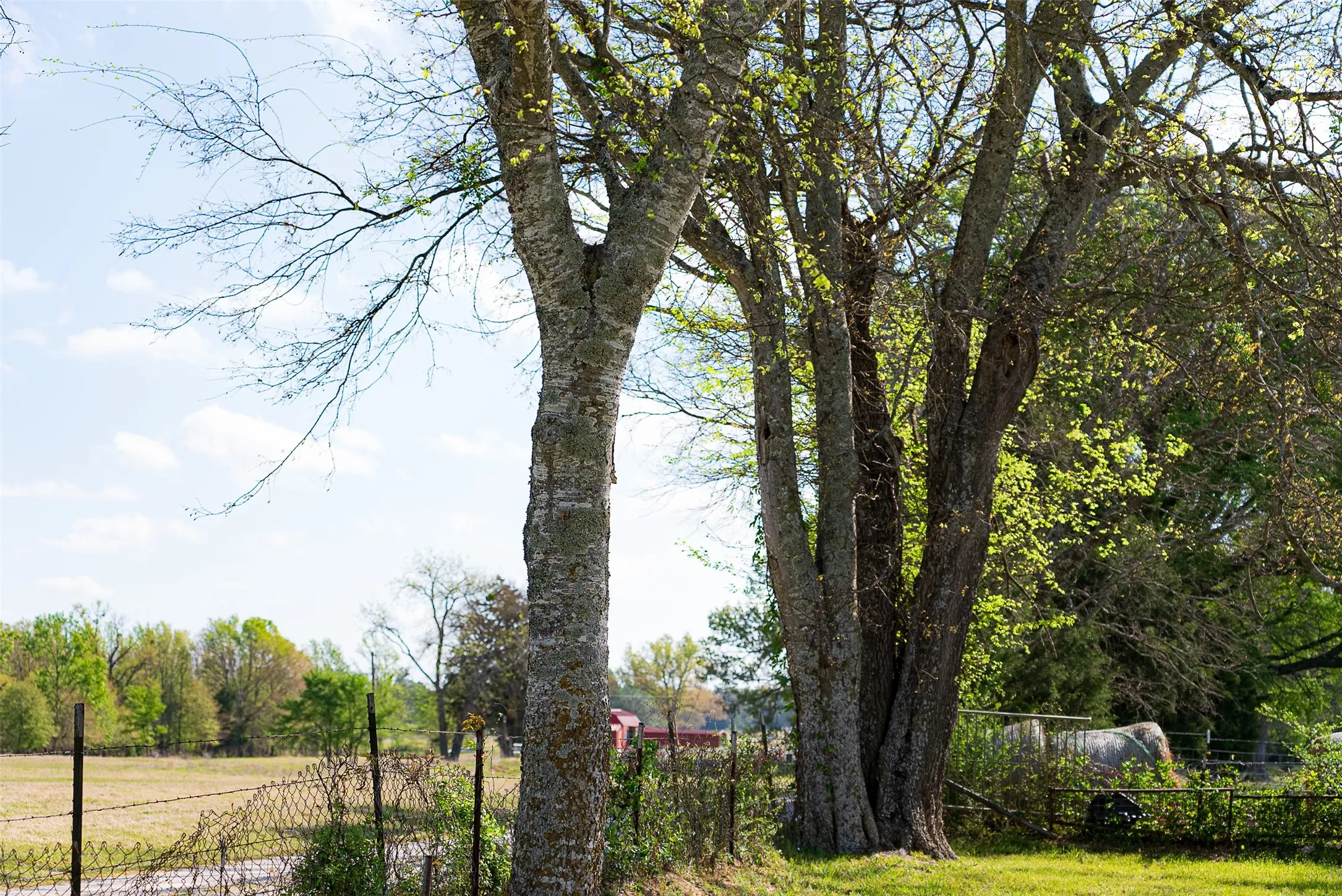 Single Family Residence For Sale in Van Zandt County , 10813 Fm 773, Ben Wheeler, Texas 75754, 5 Bedroom, 3 Bathroom, Garage spaces, 2,272 Sqft, built in 1990, Preowned, mls#21222776, Real Estate Agent in Ben Wheeler, Homes For Sale in Van Zandt county, Homes For Sale in Ben Wheeler, Realtor in Ben Wheeler Texas, Real Estate Brokerage Independent Realty Texas, Luminita Cordes Realtor