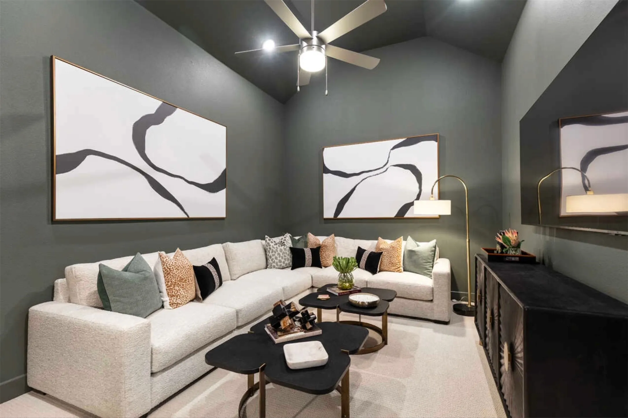 Entertainment Room