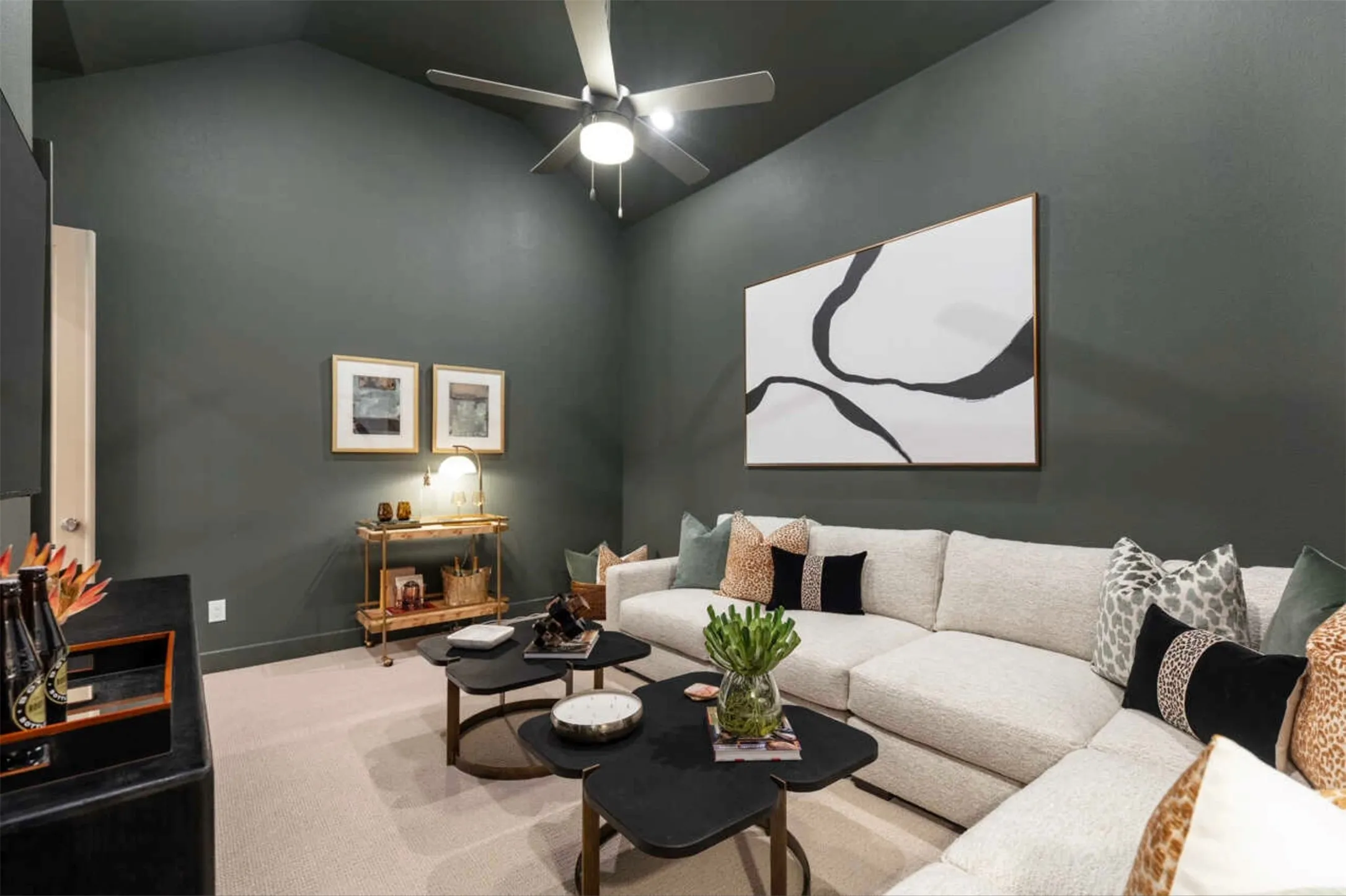 Entertainment Room