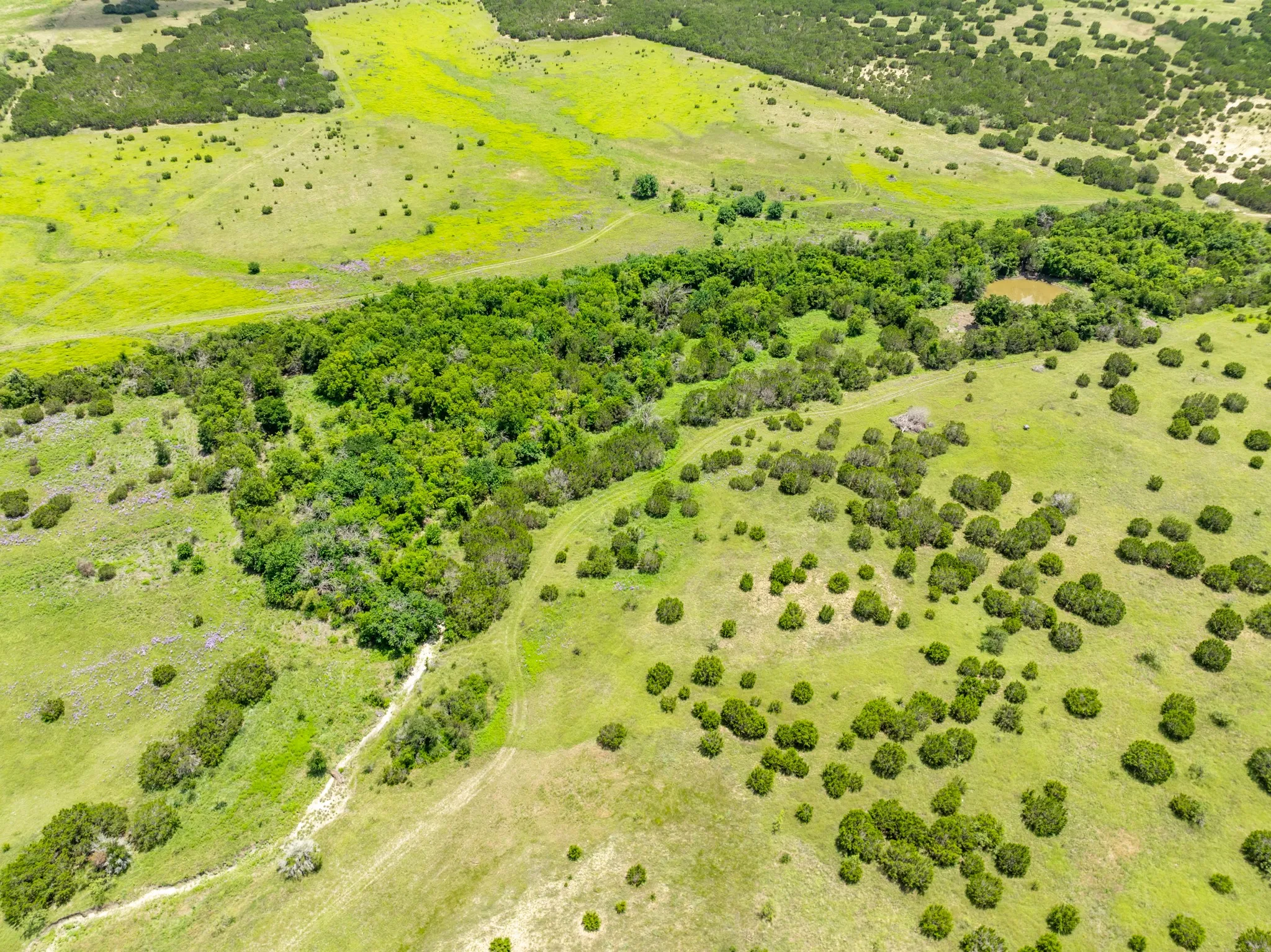 Ranch For Sale in Hamilton County , 11439 Fm 1602 B, Jonesboro, Texas 76538, 0, 0, Garage spaces, 0 Sqft, built in 0, mls#21222851, Real Estate Agent in Jonesboro, Homes For Sale in Hamilton county, Homes For Sale in Jonesboro, Realtor in Jonesboro Texas, Real Estate Brokerage Independent Realty Texas, Luminita Cordes Realtor