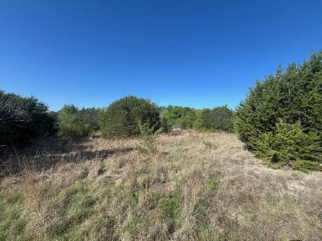 Unimproved Land For Sale in Hood County , 207 Morning Dove Court, Cresson, Texas 76035, 0, 0, Garage spaces, 0 Sqft, built in 0, mls#21222176, Real Estate Agent in Cresson, Homes For Sale in Hood county, Homes For Sale in Cresson, Realtor in Cresson Texas, Real Estate Brokerage Independent Realty Texas, Luminita Cordes Realtor