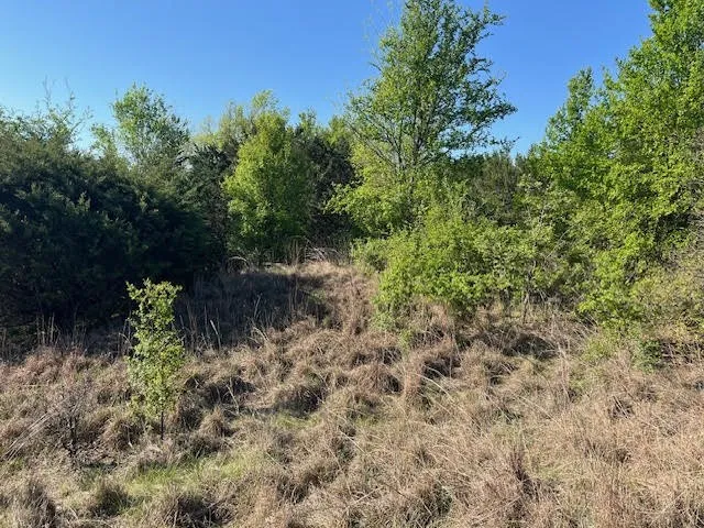 Unimproved Land For Sale in Hood County , 207 Morning Dove Court, Cresson, Texas 76035, 0, 0, Garage spaces, 0 Sqft, built in 0, mls#21222176, Real Estate Agent in Cresson, Homes For Sale in Hood county, Homes For Sale in Cresson, Realtor in Cresson Texas, Real Estate Brokerage Independent Realty Texas, Luminita Cordes Realtor