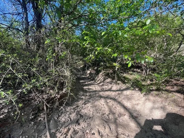 Seasonal Creek Bed on​​‌​​​​‌​​‌‌​‌‌​​​‌‌​‌​‌​‌​​​‌​​ property