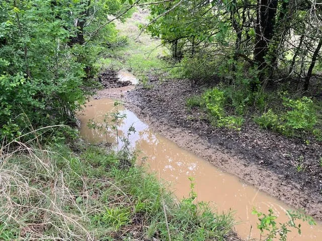 Seasonal Creek