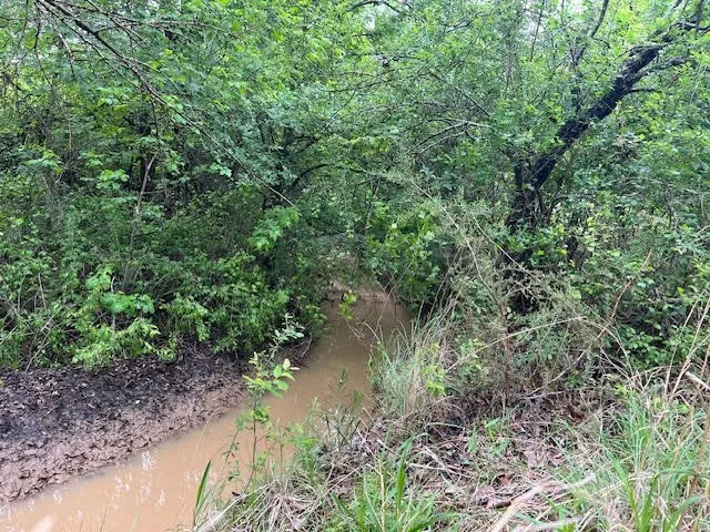 Seasonal Creek