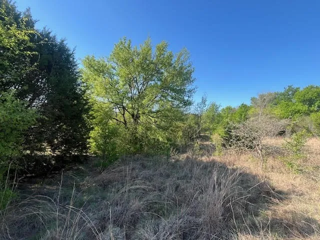 Unimproved Land For Sale in Hood County , 207 Morning Dove Court, Cresson, Texas 76035, 0, 0, Garage spaces, 0 Sqft, built in 0, mls#21222176, Real Estate Agent in Cresson, Homes For Sale in Hood county, Homes For Sale in Cresson, Realtor in Cresson Texas, Real Estate Brokerage Independent Realty Texas, Luminita Cordes Realtor