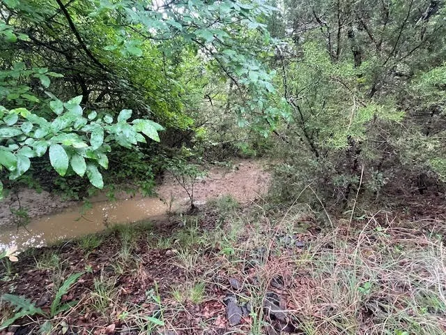 Seasonal Creek