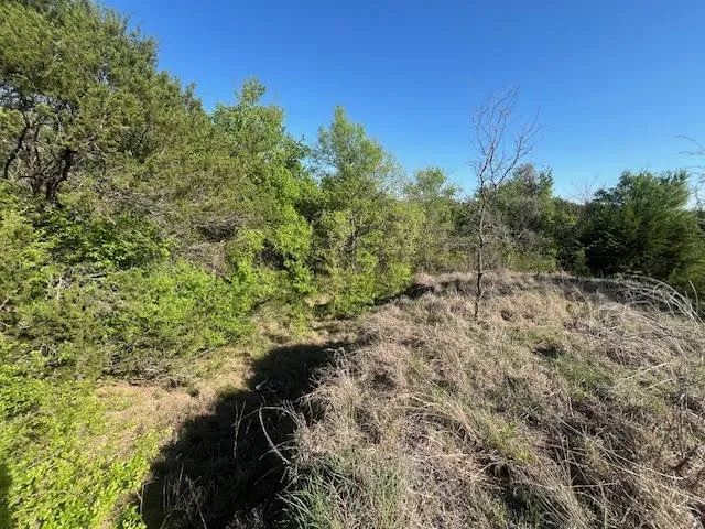 Unimproved Land For Sale in Hood County , 207 Morning Dove Court, Cresson, Texas 76035, 0, 0, Garage spaces, 0 Sqft, built in 0, mls#21222176, Real Estate Agent in Cresson, Homes For Sale in Hood county, Homes For Sale in Cresson, Realtor in Cresson Texas, Real Estate Brokerage Independent Realty Texas, Luminita Cordes Realtor