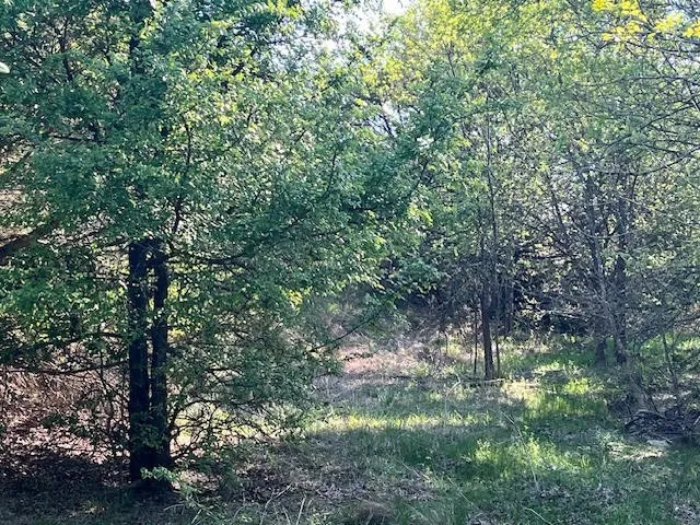 Unimproved Land For Sale in Hood County , 207 Morning Dove Court, Cresson, Texas 76035, 0, 0, Garage spaces, 0 Sqft, built in 0, mls#21222176, Real Estate Agent in Cresson, Homes For Sale in Hood county, Homes For Sale in Cresson, Realtor in Cresson Texas, Real Estate Brokerage Independent Realty Texas, Luminita Cordes Realtor