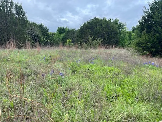 Unimproved Land For Sale in Hood County , 207 Morning Dove Court, Cresson, Texas 76035, 0, 0, Garage spaces, 0 Sqft, built in 0, mls#21222176, Real Estate Agent in Cresson, Homes For Sale in Hood county, Homes For Sale in Cresson, Realtor in Cresson Texas, Real Estate Brokerage Independent Realty Texas, Luminita Cordes Realtor