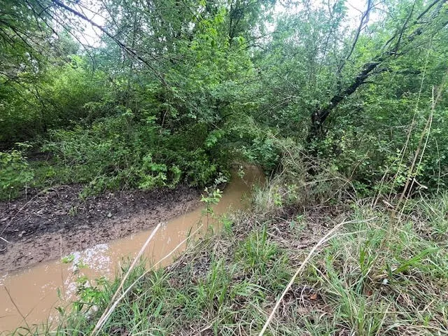Seasonal Creek
