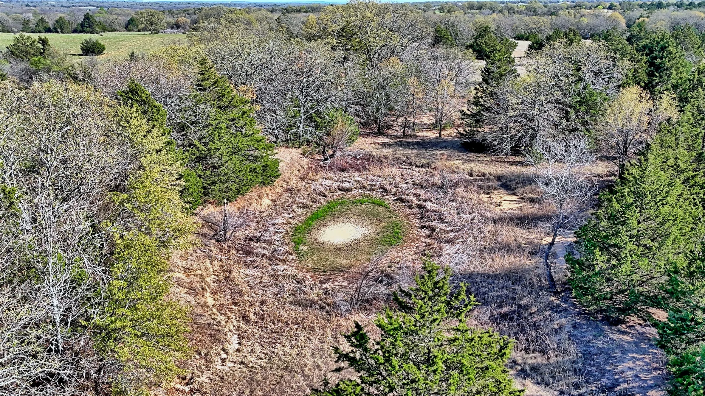 Ranch For Sale in Montague County , TBD Cole Road, Bowie, Texas 76230, 0, 0, Garage spaces, 0 Sqft, built in 0, mls#21223279, Real Estate Agent in Bowie, Homes For Sale in Montague county, Homes For Sale in Bowie, Realtor in Bowie Texas, Real Estate Brokerage Independent Realty Texas, Luminita Cordes Realtor