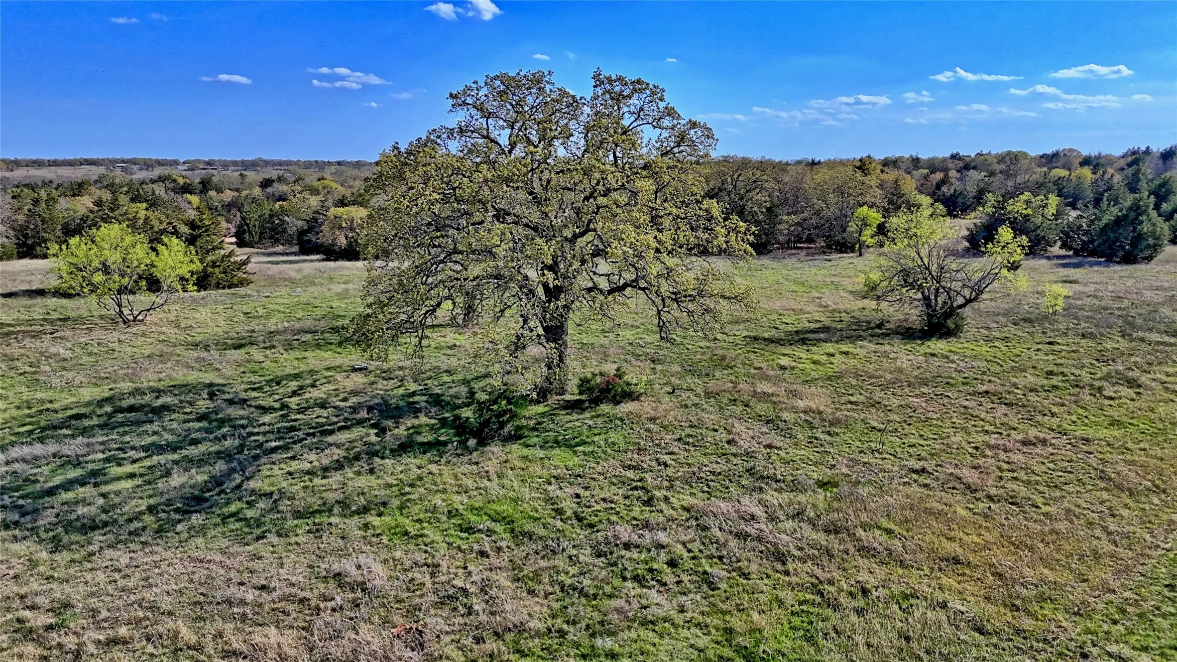 Ranch For Sale in Montague County , TBD Cole Road, Bowie, Texas 76230, 0, 0, Garage spaces, 0 Sqft, built in 0, mls#21223279, Real Estate Agent in Bowie, Homes For Sale in Montague county, Homes For Sale in Bowie, Realtor in Bowie Texas, Real Estate Brokerage Independent Realty Texas, Luminita Cordes Realtor