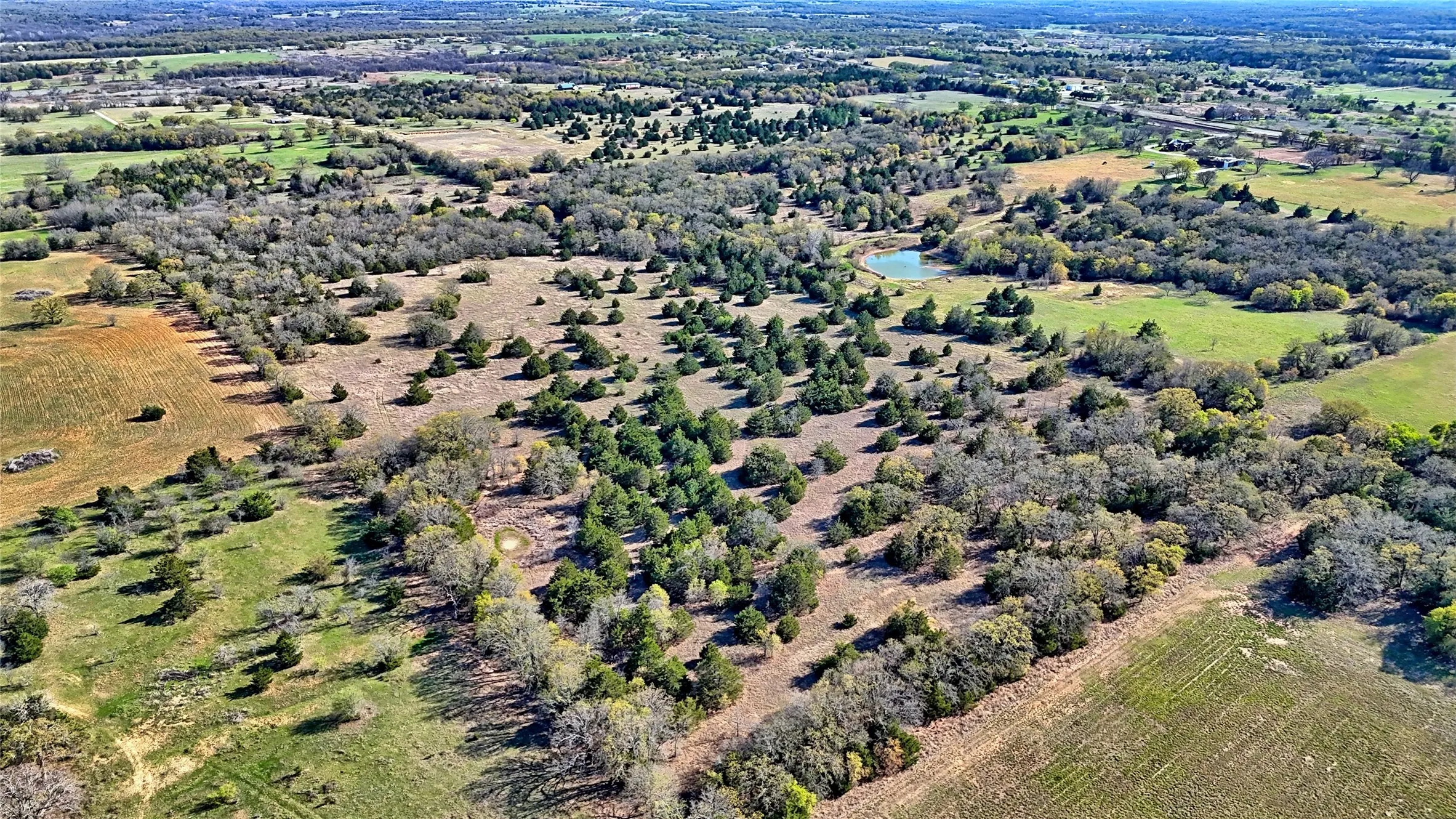 Ranch For Sale in Montague County , TBD Cole Road, Bowie, Texas 76230, 0, 0, Garage spaces, 0 Sqft, built in 0, mls#21223279, Real Estate Agent in Bowie, Homes For Sale in Montague county, Homes For Sale in Bowie, Realtor in Bowie Texas, Real Estate Brokerage Independent Realty Texas, Luminita Cordes Realtor
