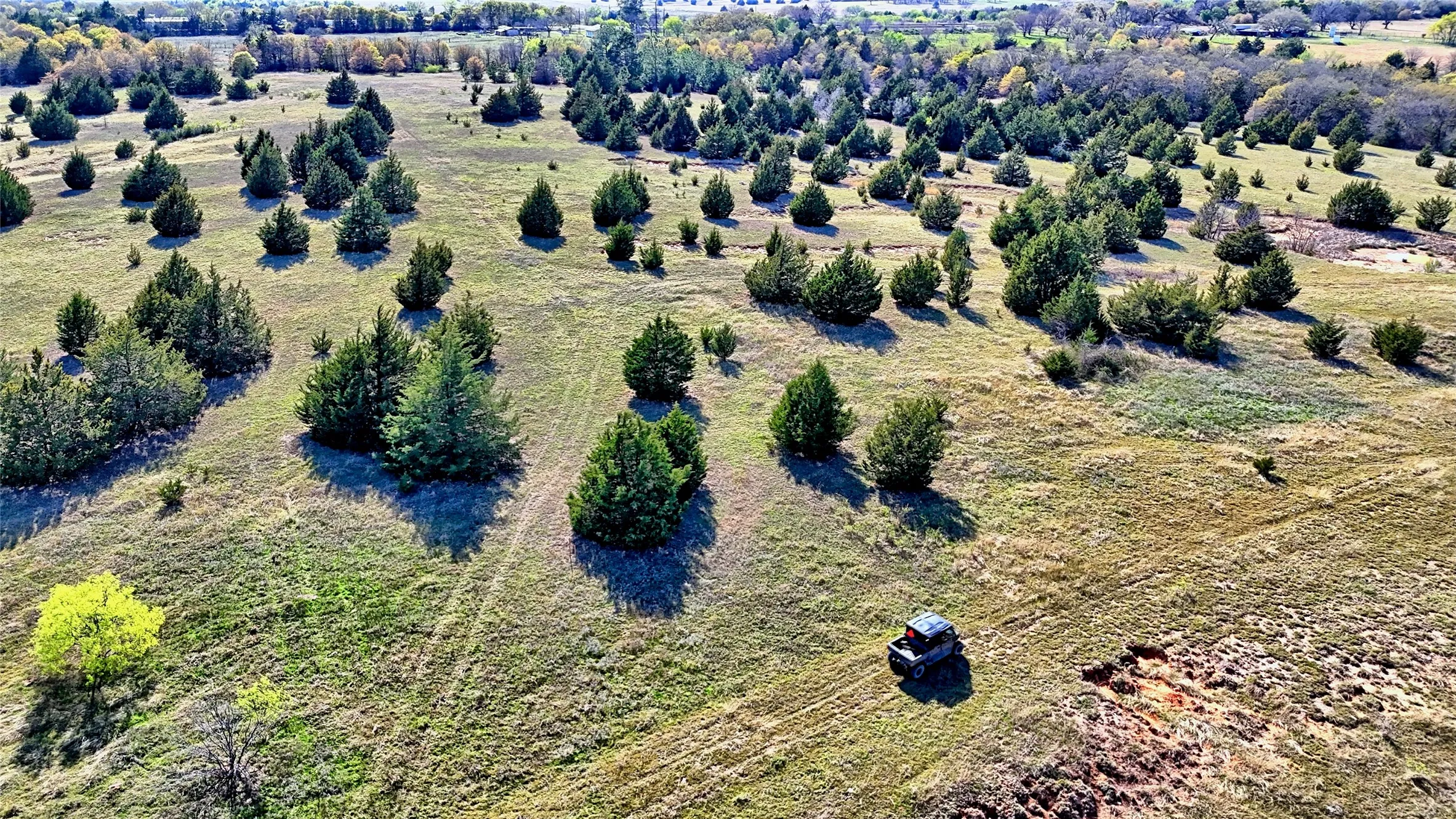 Ranch For Sale in Montague County , TBD Cole Road, Bowie, Texas 76230, 0, 0, Garage spaces, 0 Sqft, built in 0, mls#21223279, Real Estate Agent in Bowie, Homes For Sale in Montague county, Homes For Sale in Bowie, Realtor in Bowie Texas, Real Estate Brokerage Independent Realty Texas, Luminita Cordes Realtor