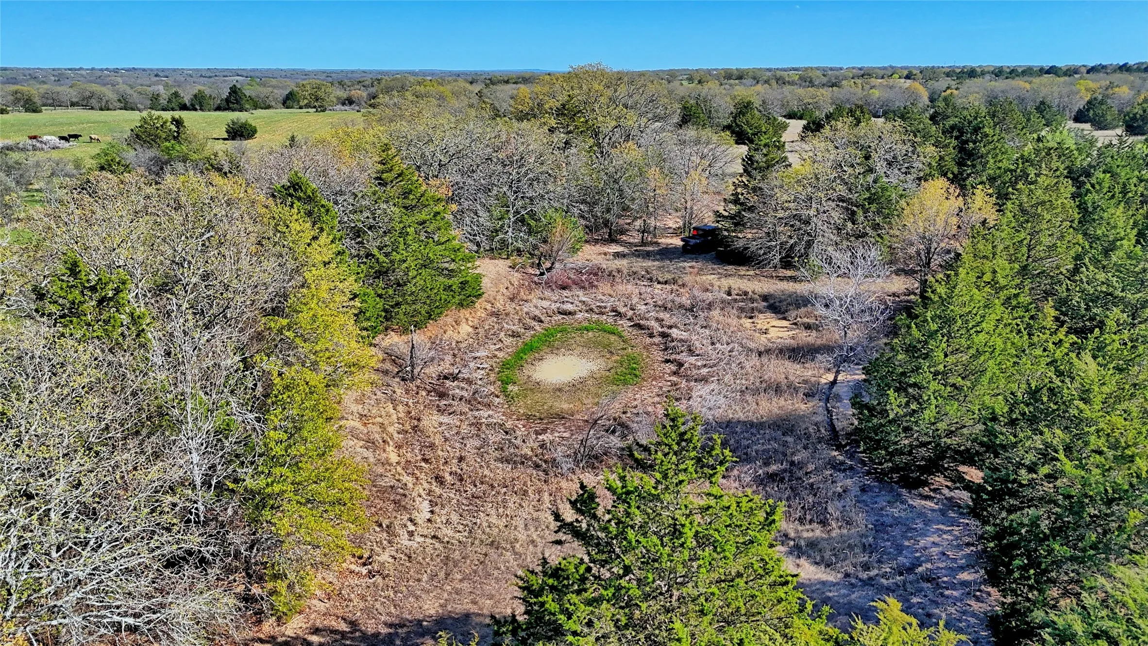 Ranch For Sale in Montague County , TBD Cole Road, Bowie, Texas 76230, 0, 0, Garage spaces, 0 Sqft, built in 0, mls#21223279, Real Estate Agent in Bowie, Homes For Sale in Montague county, Homes For Sale in Bowie, Realtor in Bowie Texas, Real Estate Brokerage Independent Realty Texas, Luminita Cordes Realtor