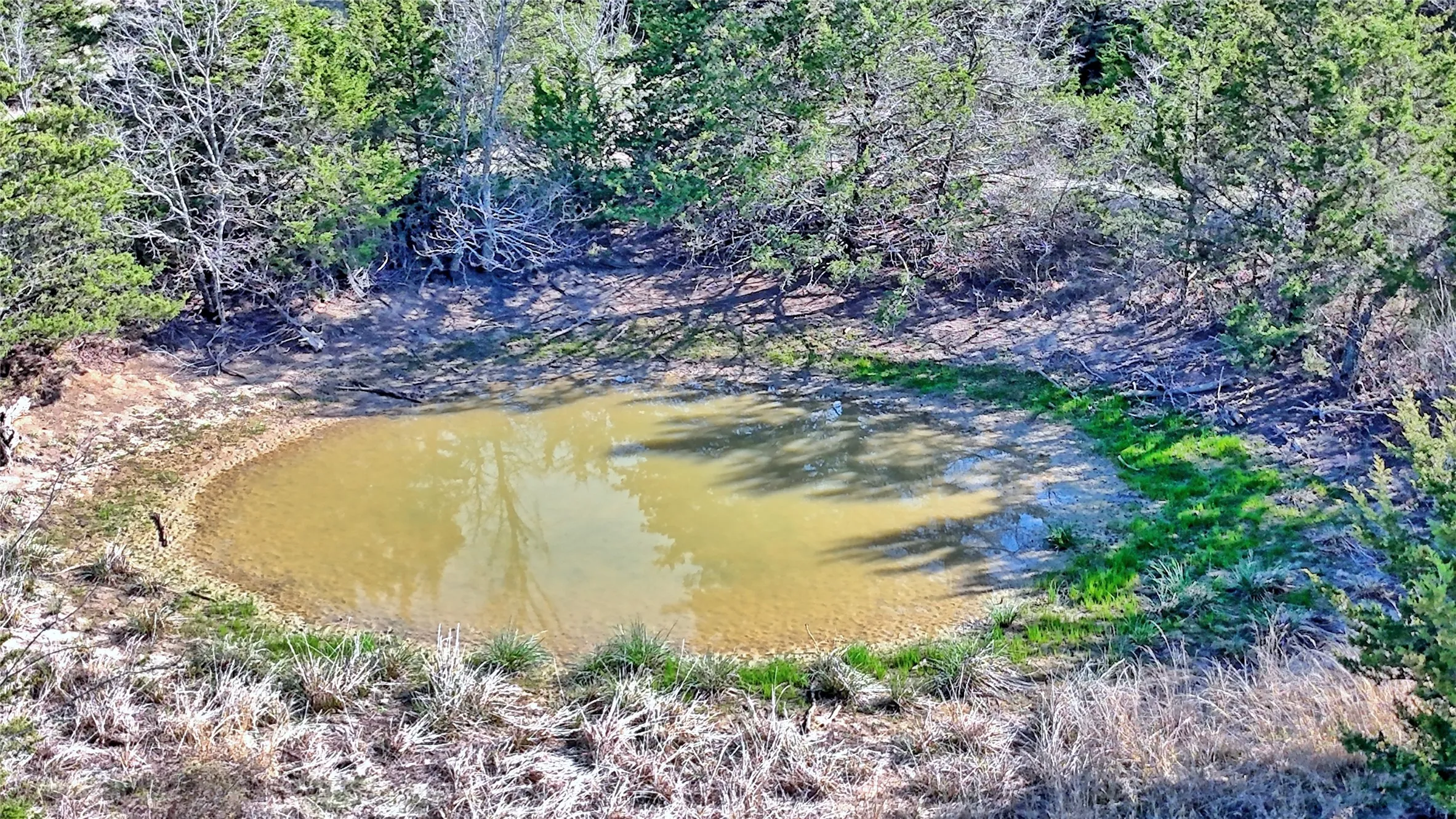 Ranch For Sale in Montague County , TBD Cole Road, Bowie, Texas 76230, 0, 0, Garage spaces, 0 Sqft, built in 0, mls#21223279, Real Estate Agent in Bowie, Homes For Sale in Montague county, Homes For Sale in Bowie, Realtor in Bowie Texas, Real Estate Brokerage Independent Realty Texas, Luminita Cordes Realtor