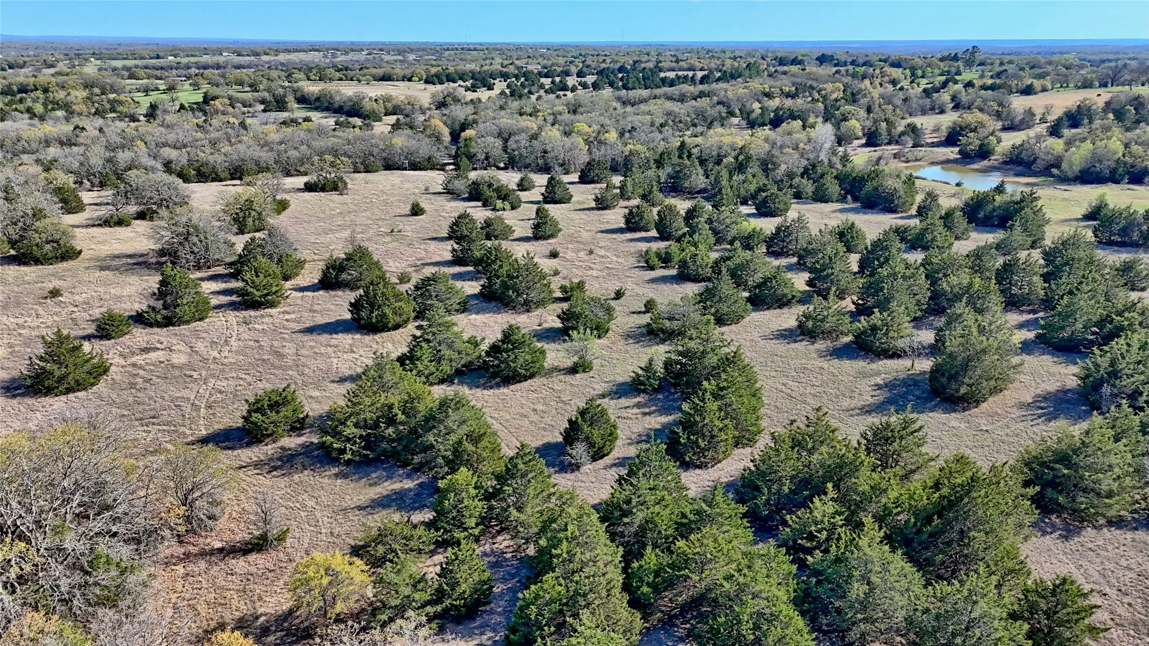 Ranch For Sale in Montague County , TBD Cole Road, Bowie, Texas 76230, 0, 0, Garage spaces, 0 Sqft, built in 0, mls#21223279, Real Estate Agent in Bowie, Homes For Sale in Montague county, Homes For Sale in Bowie, Realtor in Bowie Texas, Real Estate Brokerage Independent Realty Texas, Luminita Cordes Realtor
