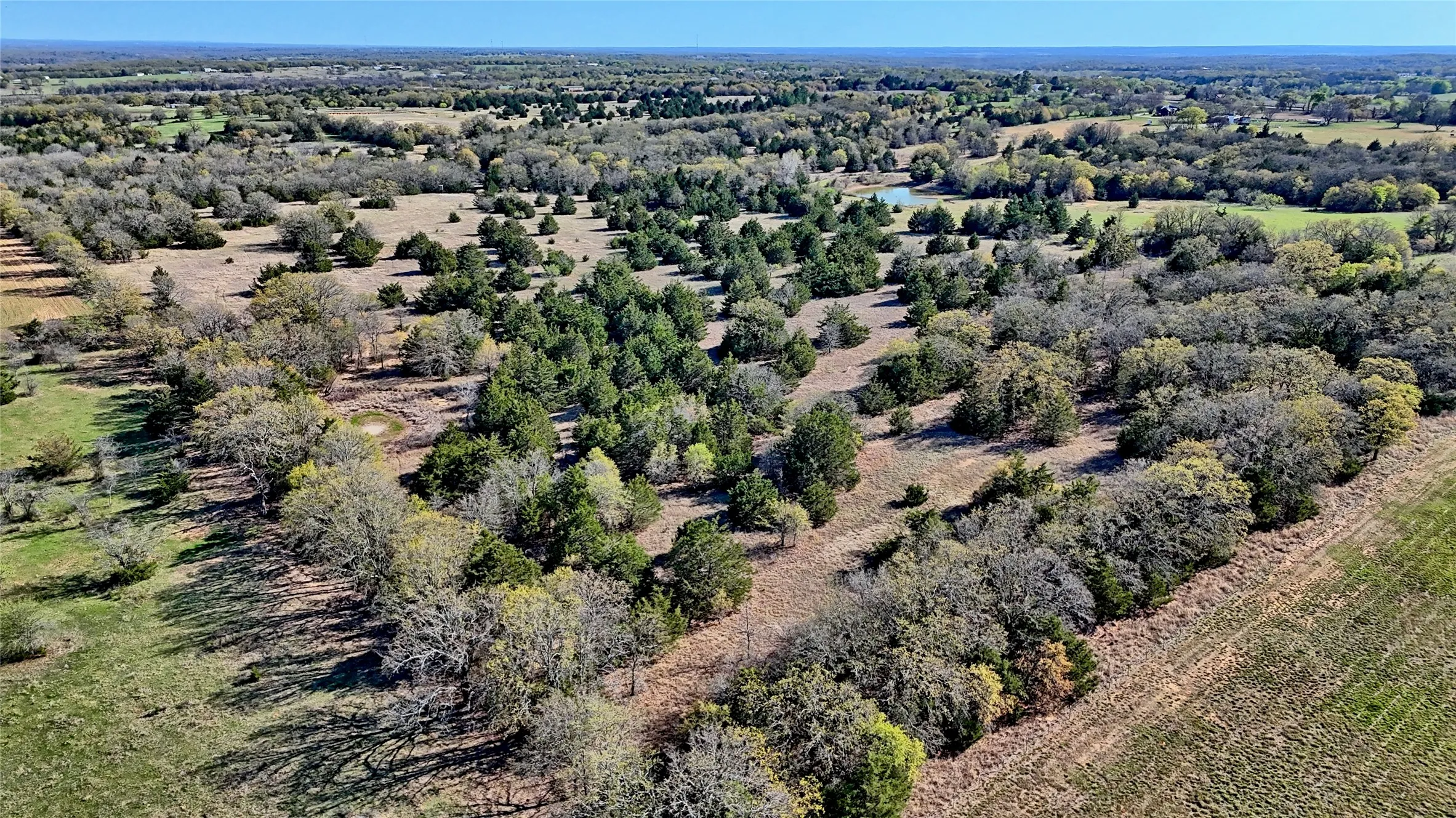 Ranch For Sale in Montague County , TBD Cole Road, Bowie, Texas 76230, 0, 0, Garage spaces, 0 Sqft, built in 0, mls#21223279, Real Estate Agent in Bowie, Homes For Sale in Montague county, Homes For Sale in Bowie, Realtor in Bowie Texas, Real Estate Brokerage Independent Realty Texas, Luminita Cordes Realtor