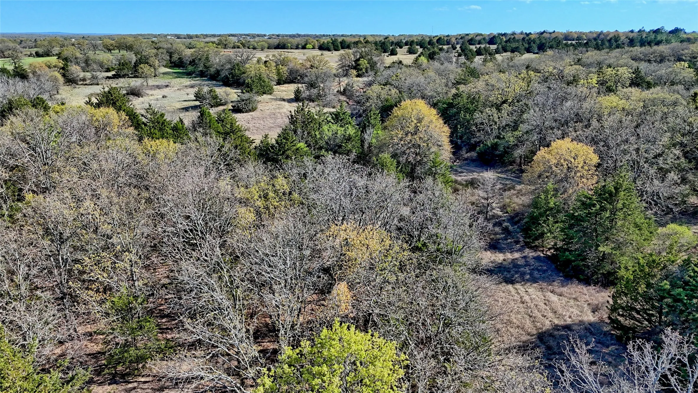 Ranch For Sale in Montague County , TBD Cole Road, Bowie, Texas 76230, 0, 0, Garage spaces, 0 Sqft, built in 0, mls#21223279, Real Estate Agent in Bowie, Homes For Sale in Montague county, Homes For Sale in Bowie, Realtor in Bowie Texas, Real Estate Brokerage Independent Realty Texas, Luminita Cordes Realtor