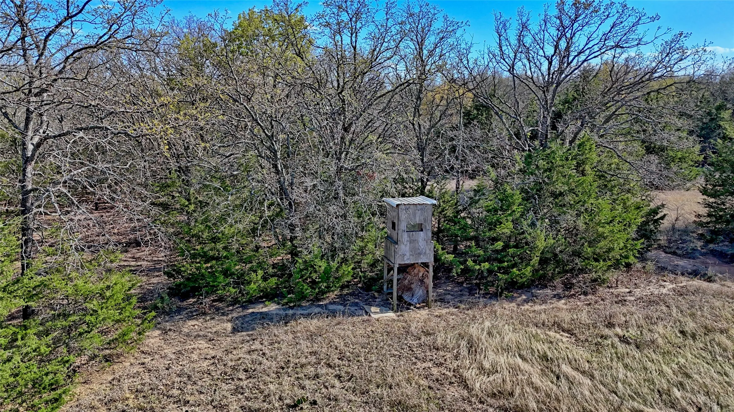 Ranch For Sale in Montague County , TBD Cole Road, Bowie, Texas 76230, 0, 0, Garage spaces, 0 Sqft, built in 0, mls#21223279, Real Estate Agent in Bowie, Homes For Sale in Montague county, Homes For Sale in Bowie, Realtor in Bowie Texas, Real Estate Brokerage Independent Realty Texas, Luminita Cordes Realtor