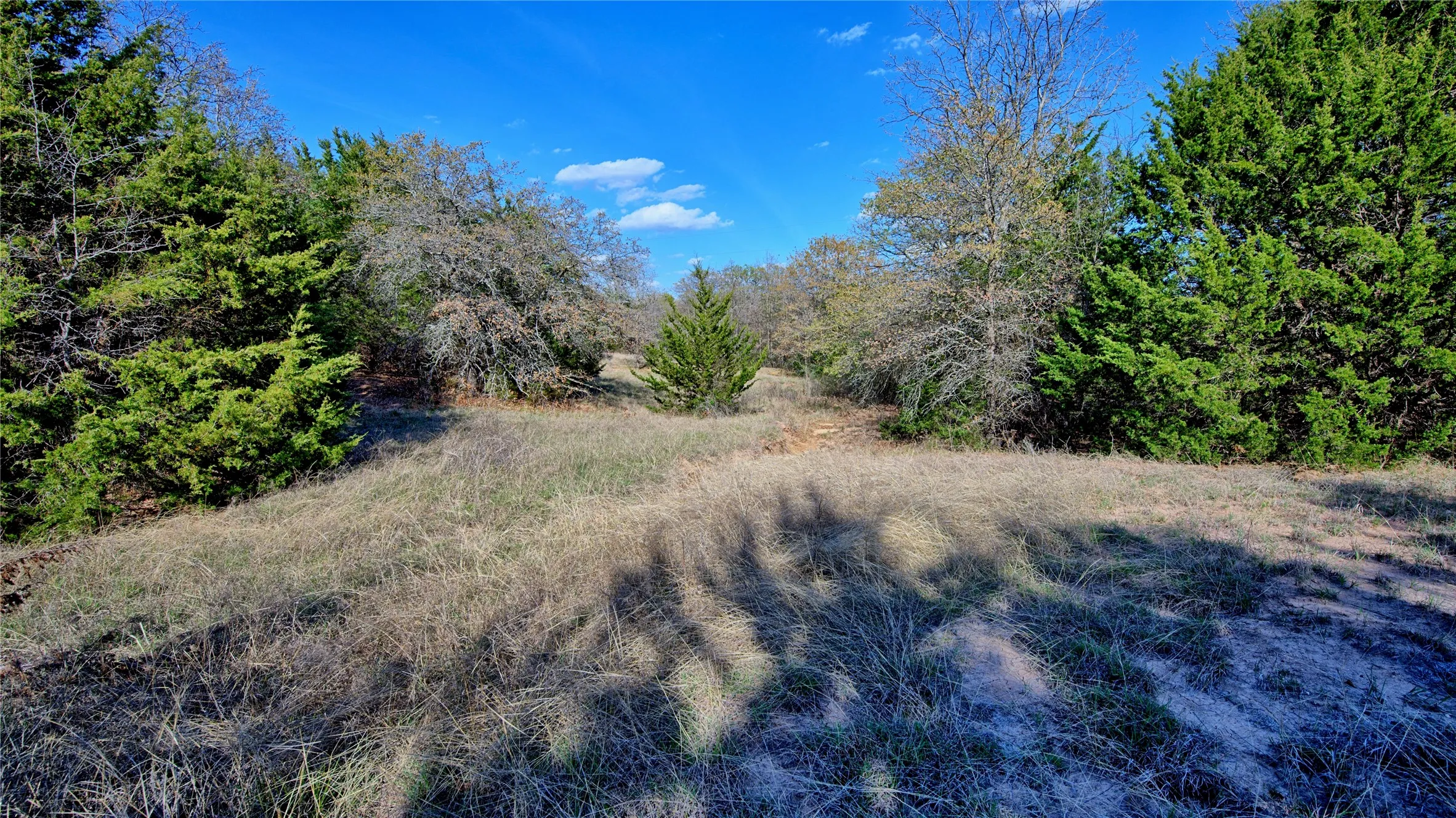 Ranch For Sale in Montague County , TBD Cole Road, Bowie, Texas 76230, 0, 0, Garage spaces, 0 Sqft, built in 0, mls#21223279, Real Estate Agent in Bowie, Homes For Sale in Montague county, Homes For Sale in Bowie, Realtor in Bowie Texas, Real Estate Brokerage Independent Realty Texas, Luminita Cordes Realtor