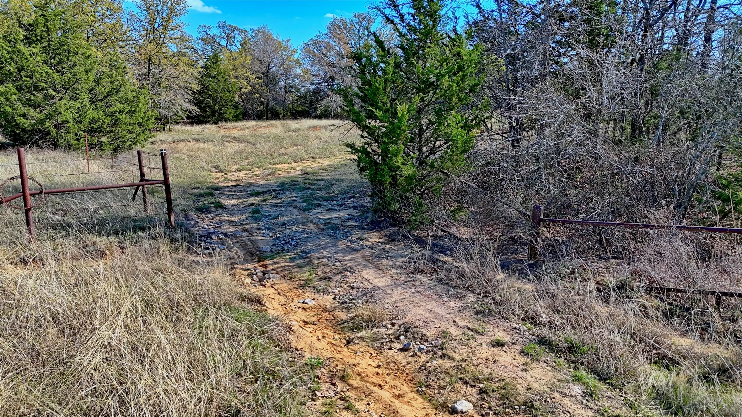 Ranch For Sale in Montague County , TBD Cole Road, Bowie, Texas 76230, 0, 0, Garage spaces, 0 Sqft, built in 0, mls#21223279, Real Estate Agent in Bowie, Homes For Sale in Montague county, Homes For Sale in Bowie, Realtor in Bowie Texas, Real Estate Brokerage Independent Realty Texas, Luminita Cordes Realtor