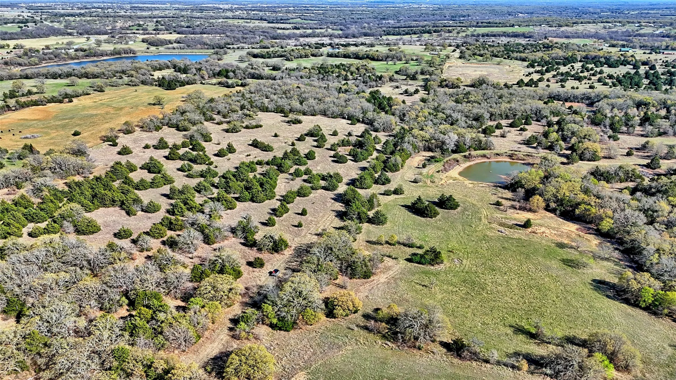 Ranch For Sale in Montague County , TBD Cole Road, Bowie, Texas 76230, 0, 0, Garage spaces, 0 Sqft, built in 0, mls#21223279, Real Estate Agent in Bowie, Homes For Sale in Montague county, Homes For Sale in Bowie, Realtor in Bowie Texas, Real Estate Brokerage Independent Realty Texas, Luminita Cordes Realtor