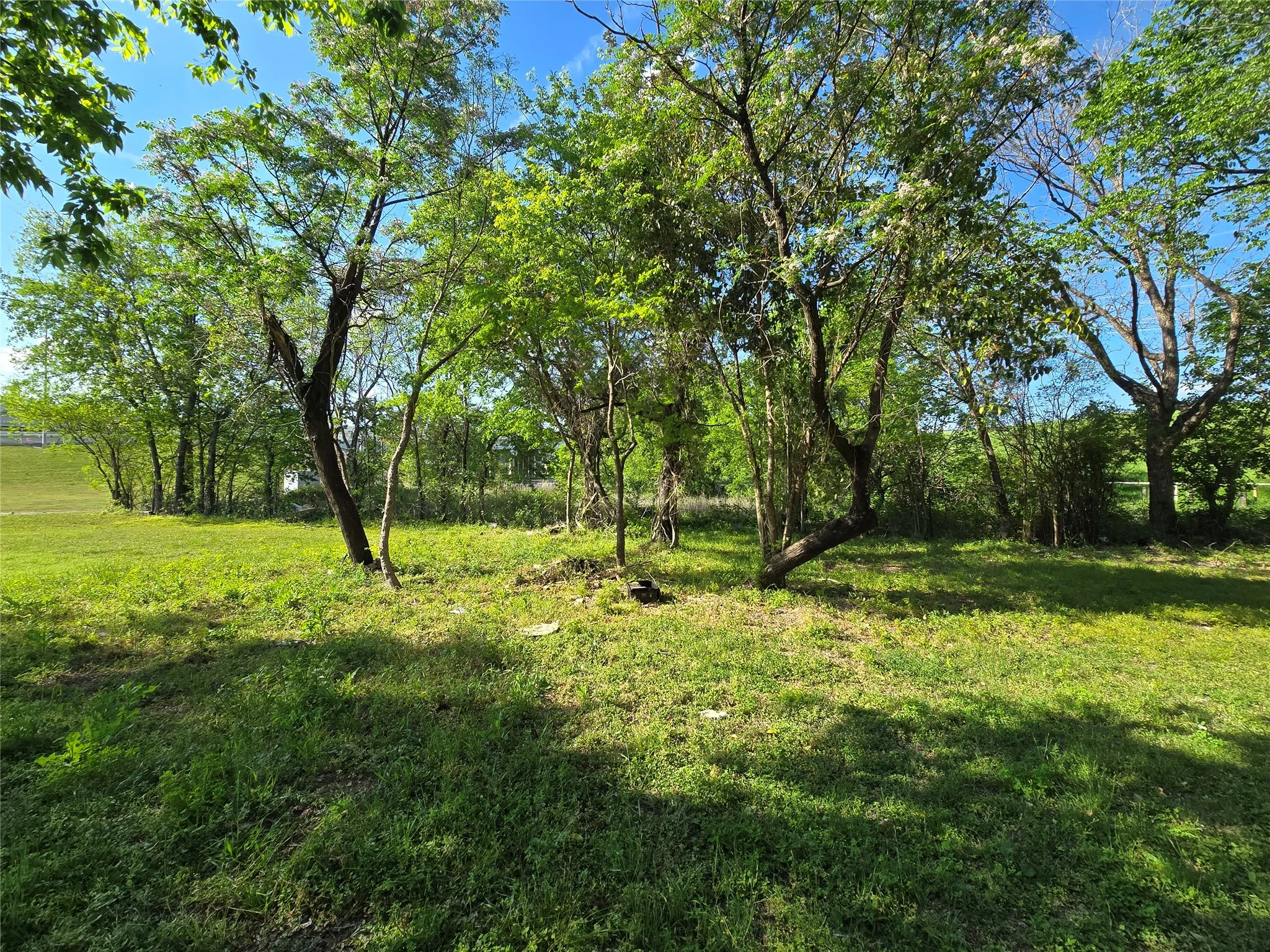 Unimproved Land For Sale in Dallas County , 823 Millard Street, Dallas, Texas 75203, 0, 0, Garage spaces, 0 Sqft, built in 0, mls#21221507, Real Estate Agent in Dallas, Homes For Sale in Dallas county, Homes For Sale in Dallas, Realtor in Dallas Texas, Real Estate Brokerage Independent Realty Texas, Luminita Cordes Realtor