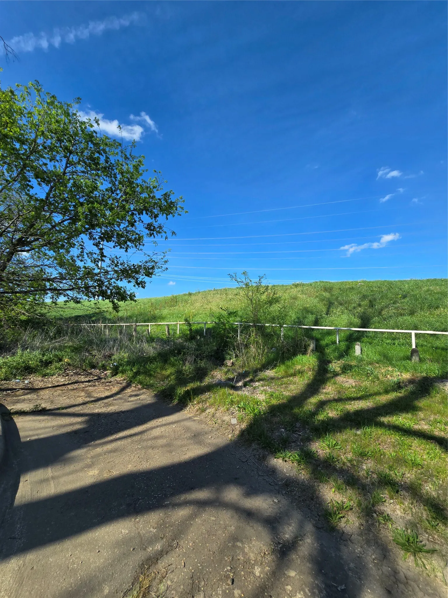 Unimproved Land For Sale in Dallas County , 823 Millard Street, Dallas, Texas 75203, 0, 0, Garage spaces, 0 Sqft, built in 0, mls#21221507, Real Estate Agent in Dallas, Homes For Sale in Dallas county, Homes For Sale in Dallas, Realtor in Dallas Texas, Real Estate Brokerage Independent Realty Texas, Luminita Cordes Realtor